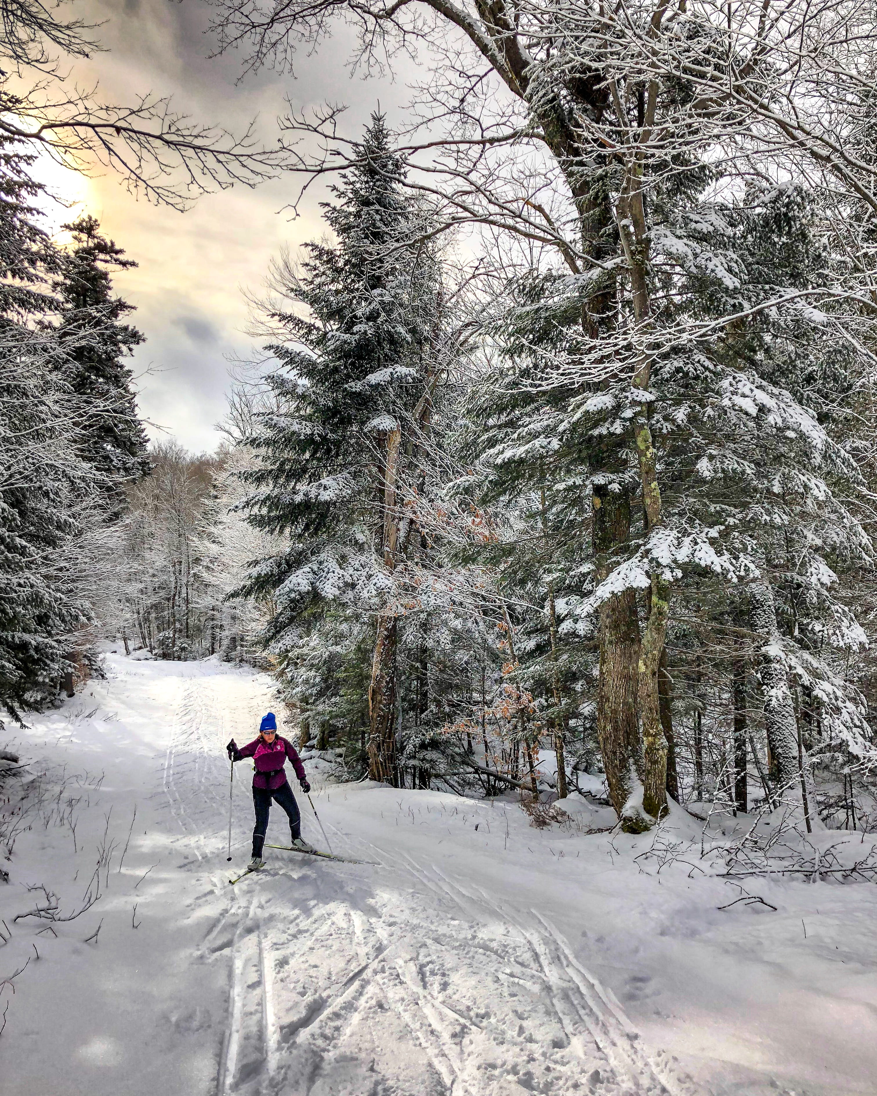 land, trees, covering, person, ski, nordic skiing, one person, unique, daytime, winter, warm clothing, 2K, sports, non-urban scene, mt. van hoevenberg cross country and biathlon center, Phone HD Wallpaper