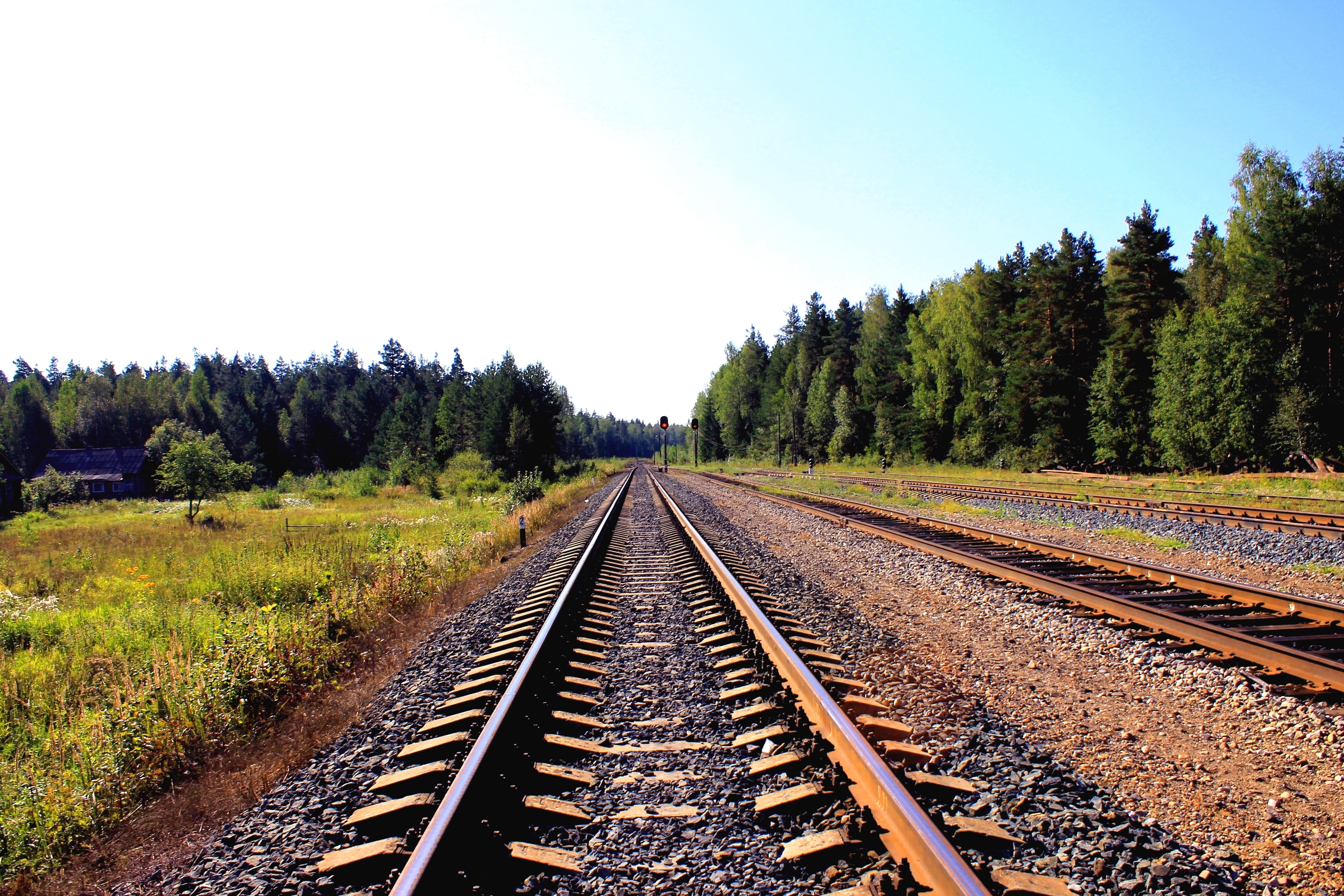 train, railroad, track, scenics - nature, trees, beauty in nature, day, tree, dirt, brown, sky, no people, nature, scenics, plants, green, pebbles, land, HD Wallpaper