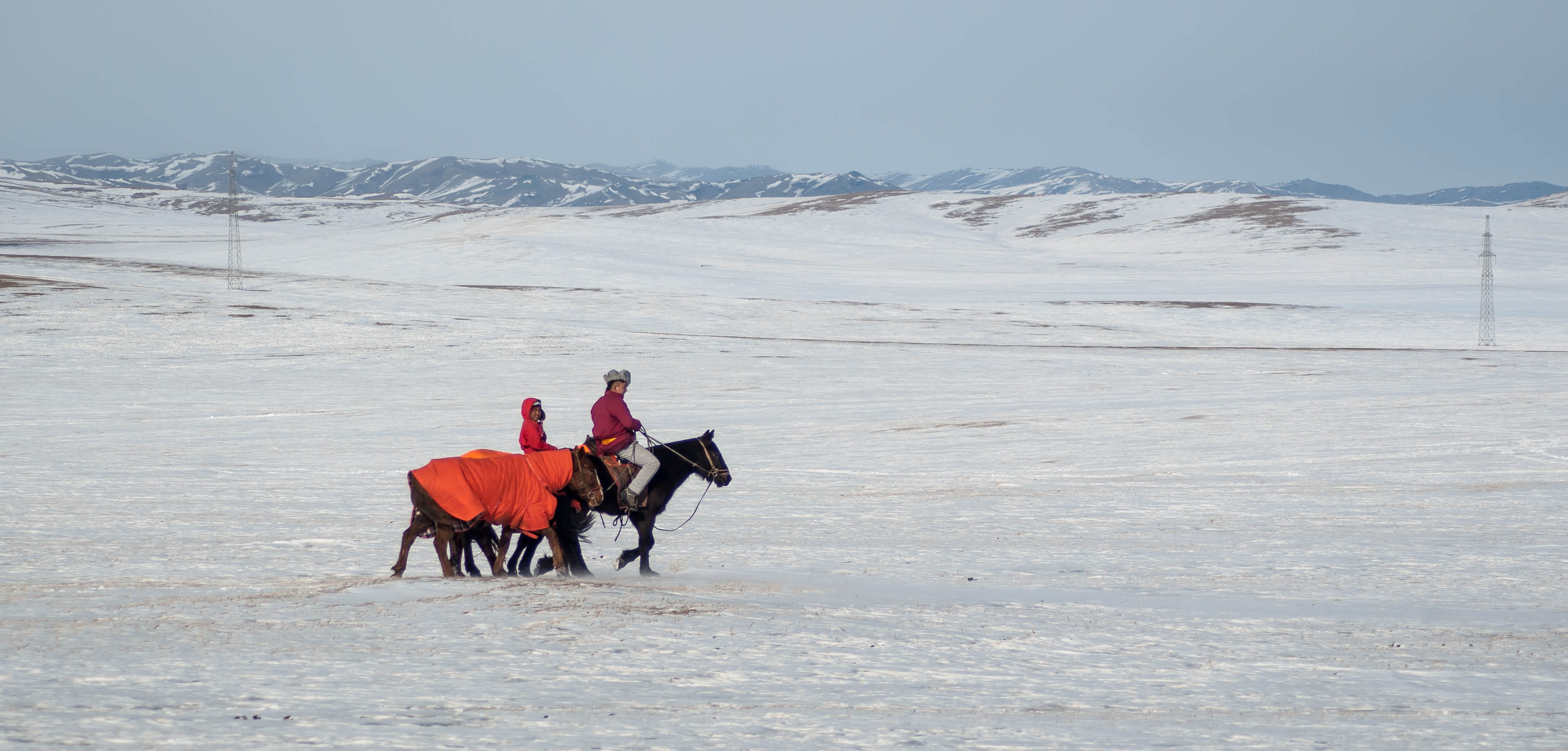 equine, domestic, snowcapped mountain, group of animals, outdoor, vertebrate, snow, cold temperature, stallion, domestic animals, riding, animal themes, HD Wallpaper