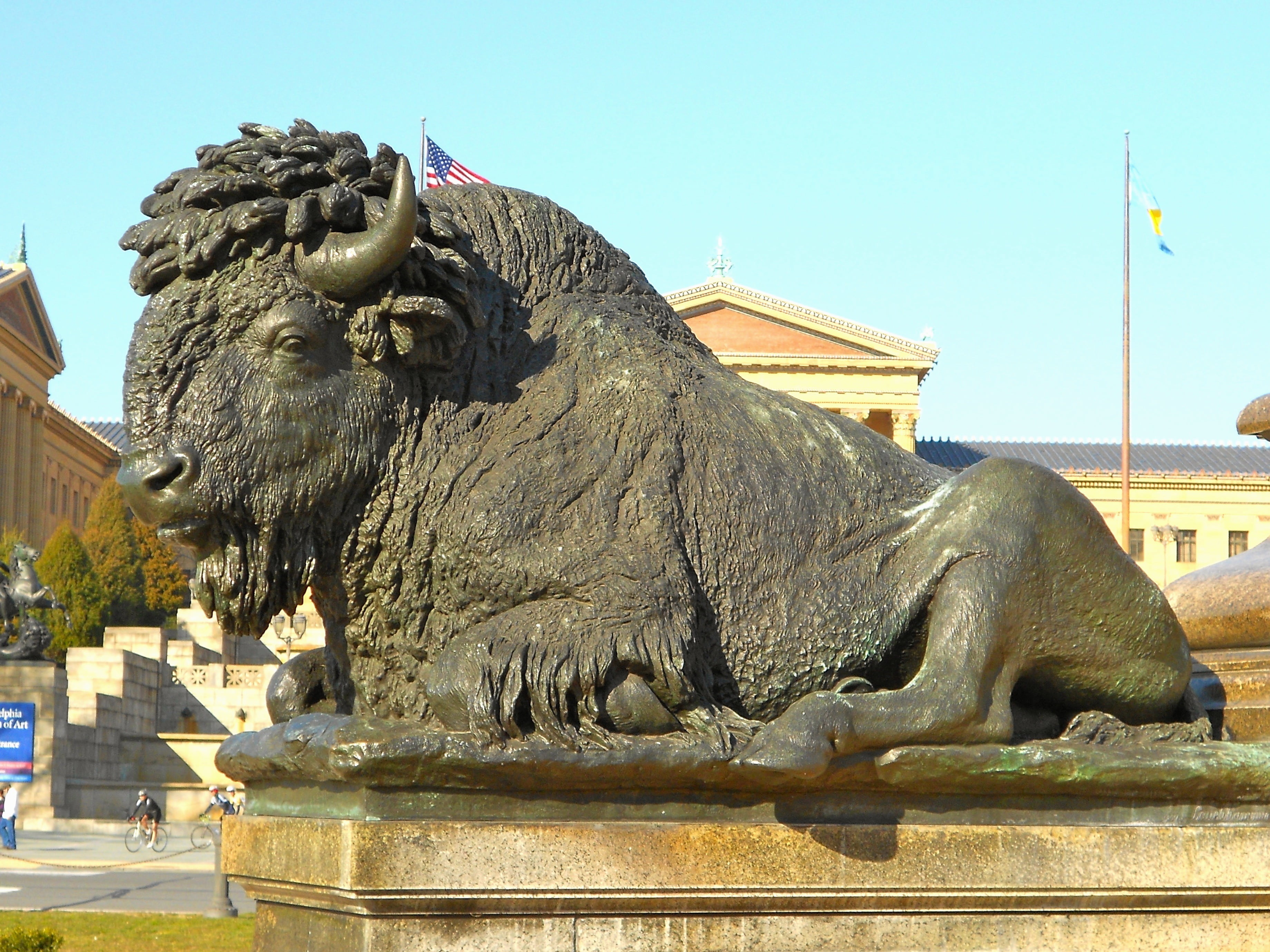 sky, travel destinations, cities, philadelphia, sculpture, statue, outside, 2K, lion - Feline, buffalo, creativity, clear sky, urban, male likeness, outdoors, HD Wallpaper