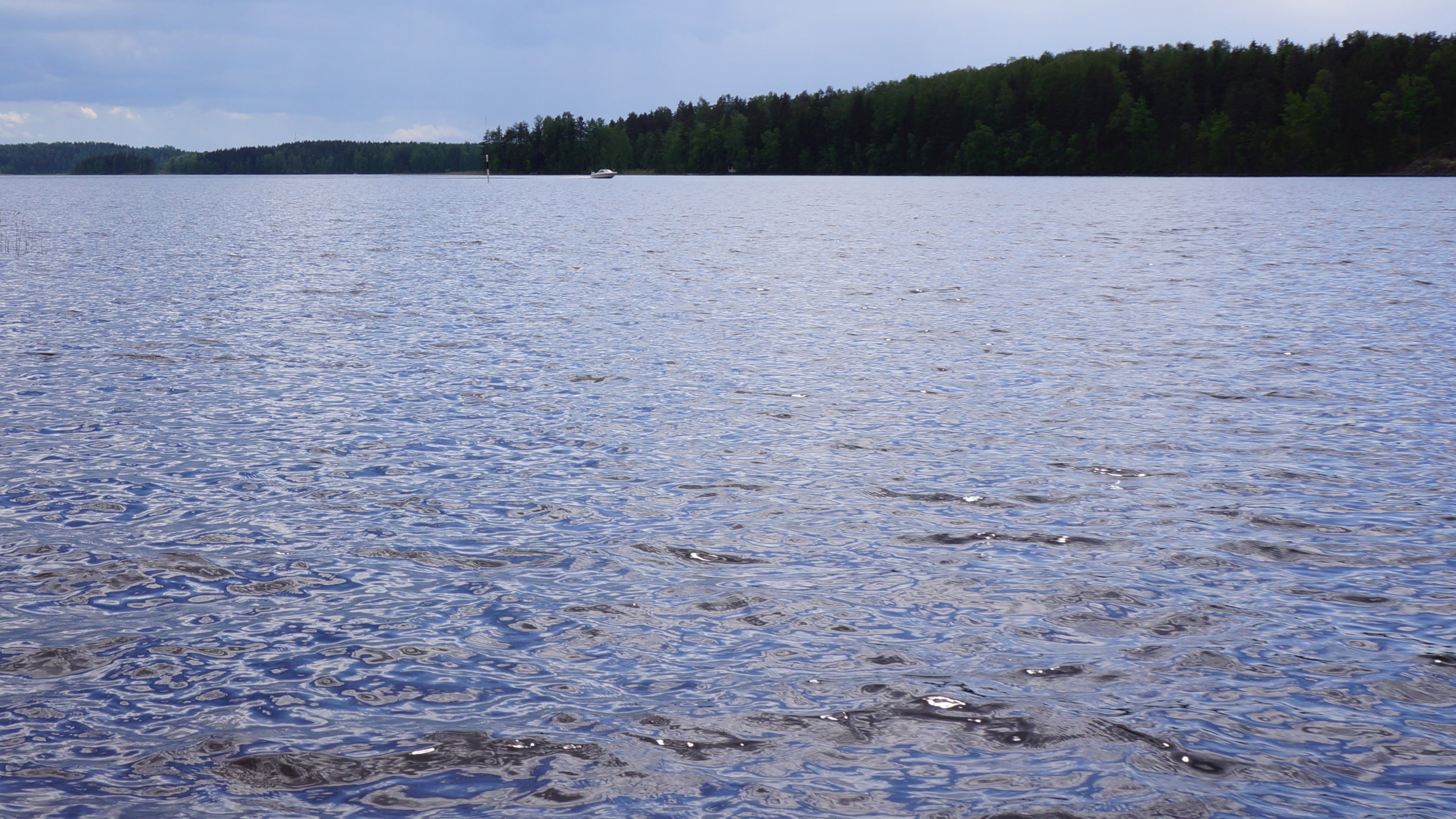 summer, day, environment, rippled, nature, forest, no people, blue, beauty in nature, tree, idyllic, land, non-urban scene, the opposite shore, tranquil scene, HD Wallpaper