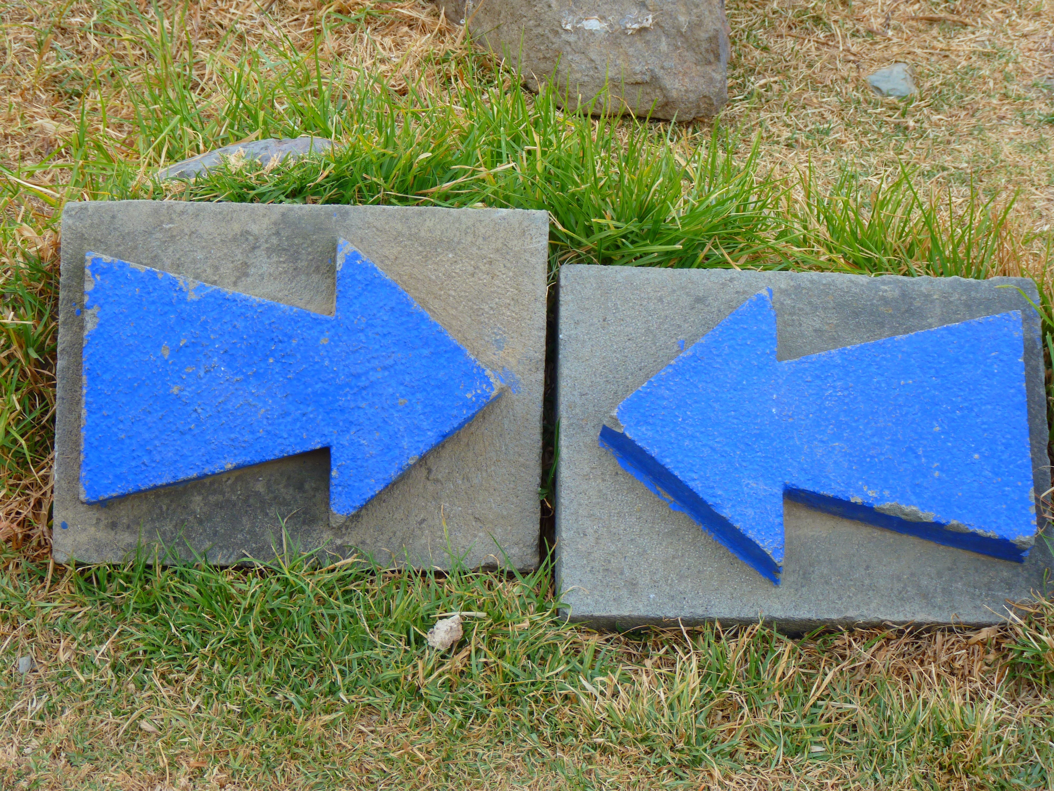 each other to, misleading, signposts, growth, grass, outdoors, paper, Stop, contrast, blue, contradictory, 4K, Blind Alley, counter, direction, signages, HD Wallpaper