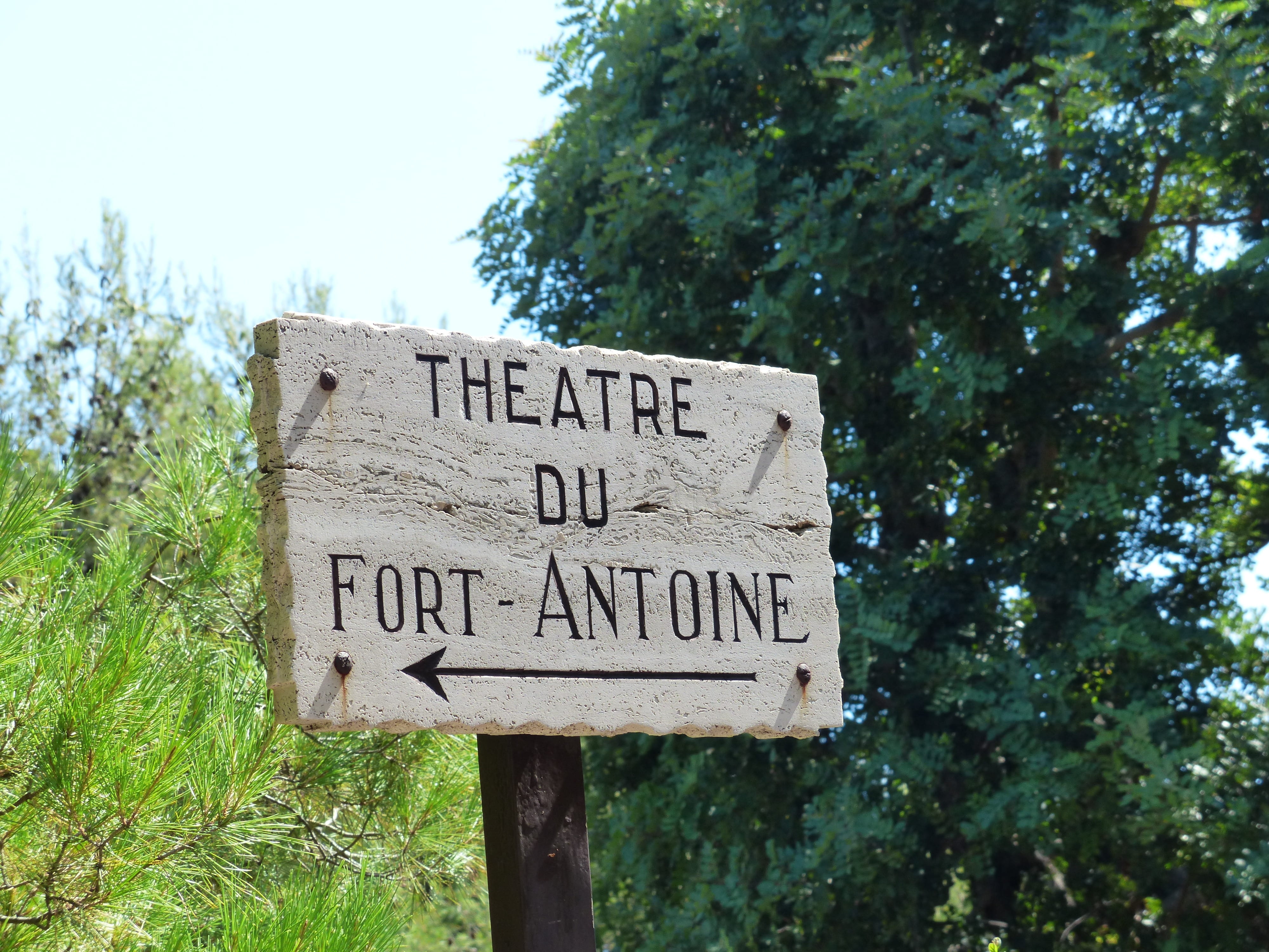 capital letter, directory, green color, monaco, fort antoine, western script, communication, 4K, information, tree, script, outdoors, day, wood - material, HD Wallpaper