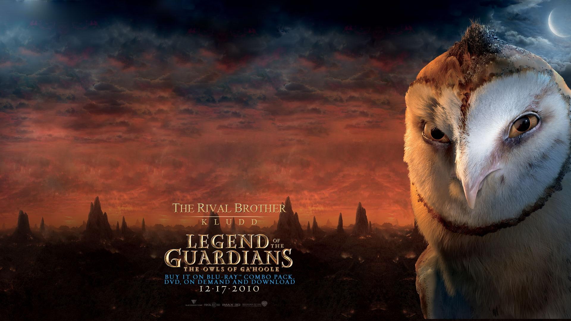 guardians, kludd, brothers, legend, rival, hoole, animals, 1080P, brother of soren, ga, birds, HD Wallpaper