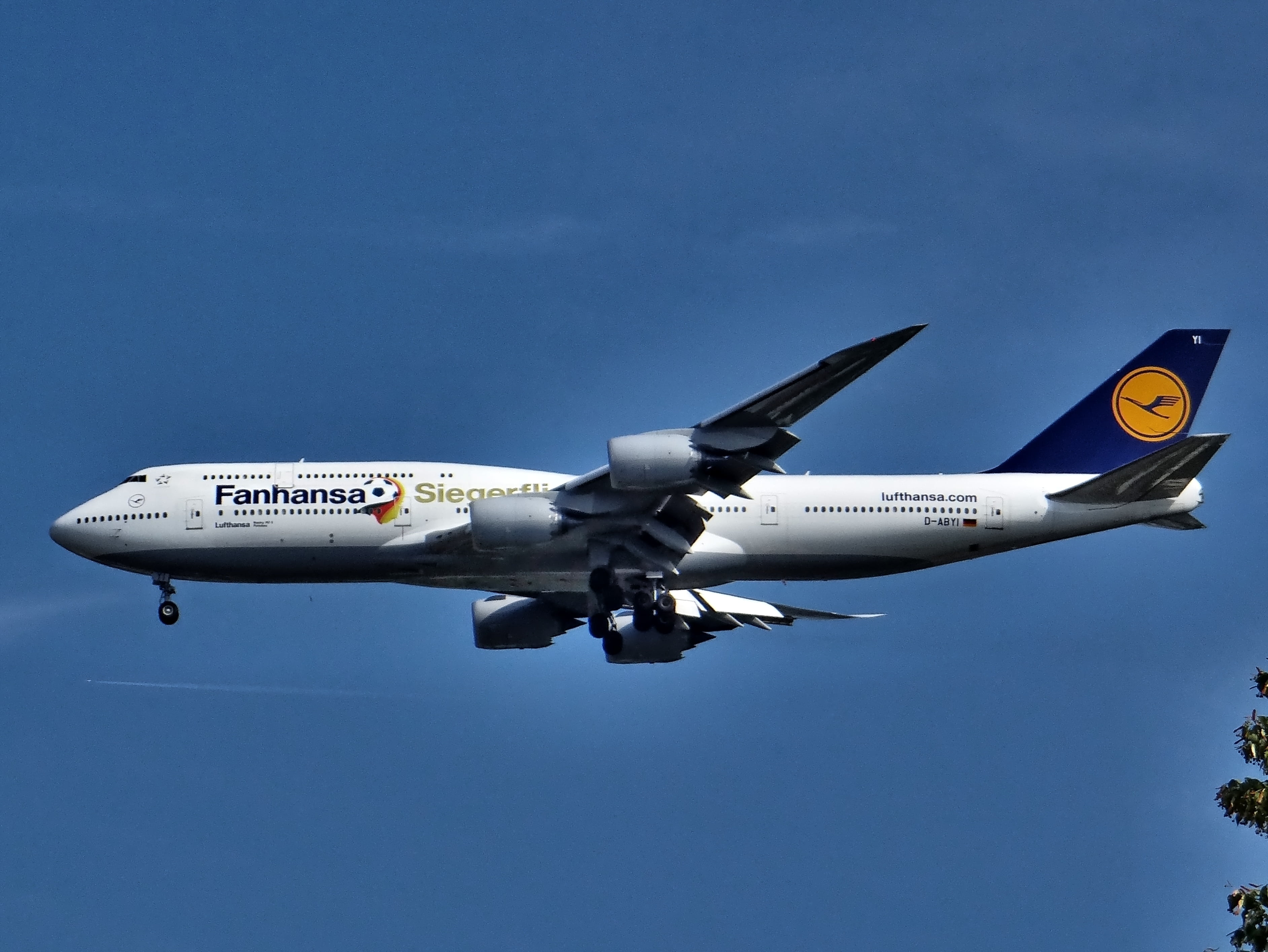 lufthansa, fan hansa, flying, boeing, 2K, germany, world cup 2014, day, winner aviation, sunny, on the move, no people, aerospace industry, air vehicle, HD Wallpaper