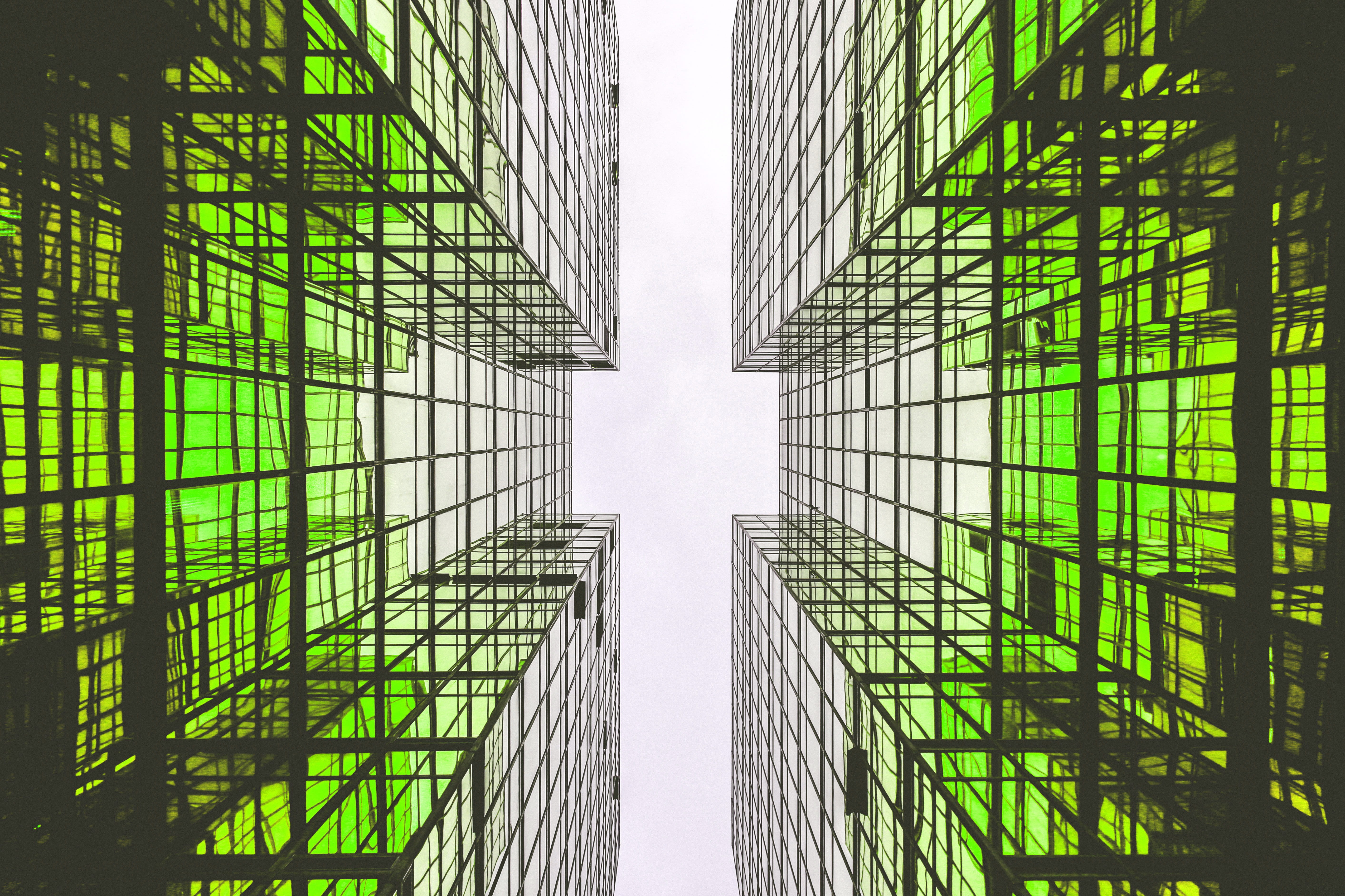 greenery, directly below, architecture, 5K, city, built structure, metal, building exterior, modern, trend, house, office building exterior, pattern, glass, HD Wallpaper