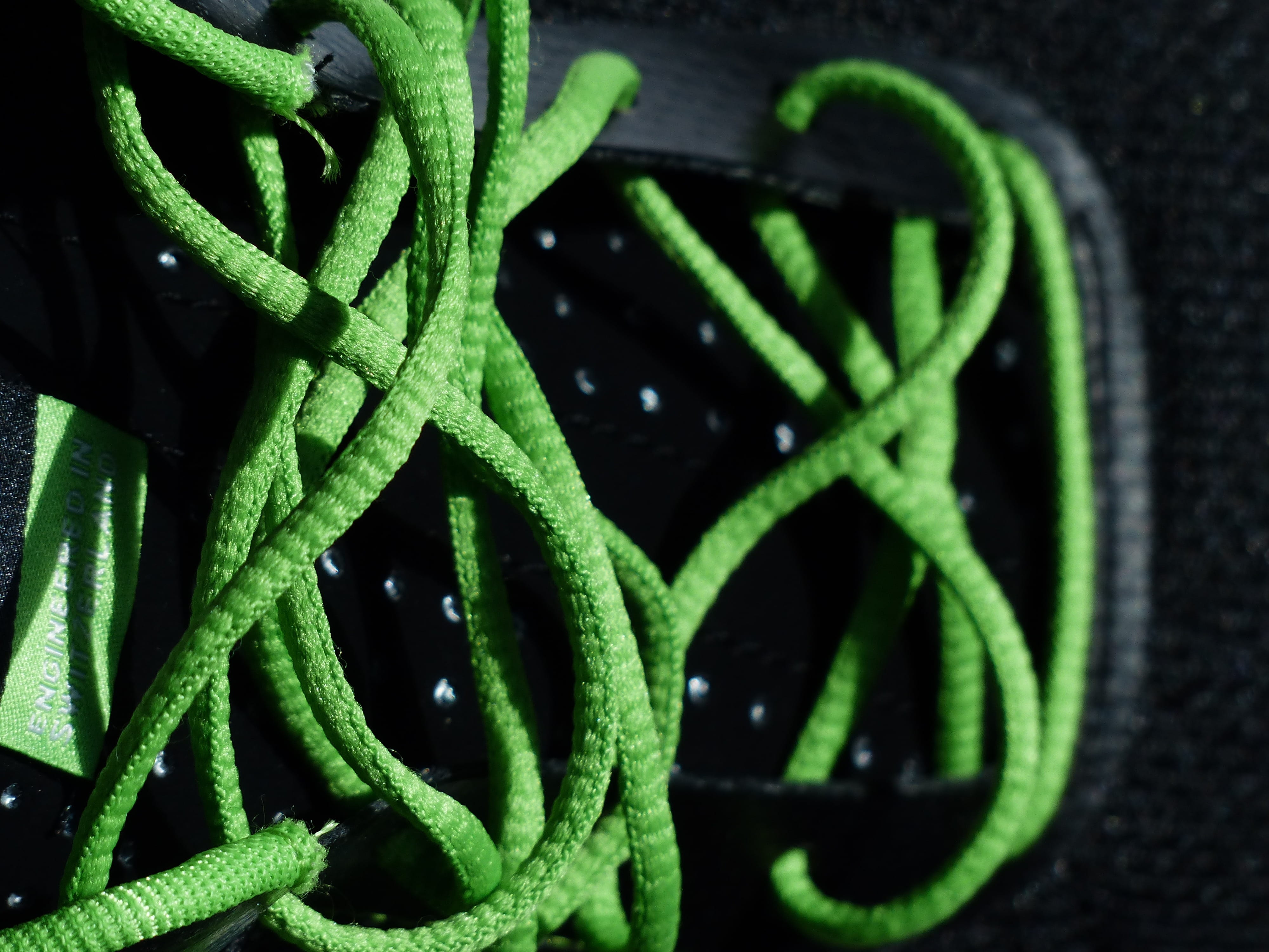 sneakers, selective focus, green color, sport, day, directly above, leaf, tangled, complexity, shoes, Shoelaces, black, no people, plant part, plant, Sports Shoes, HD Wallpaper