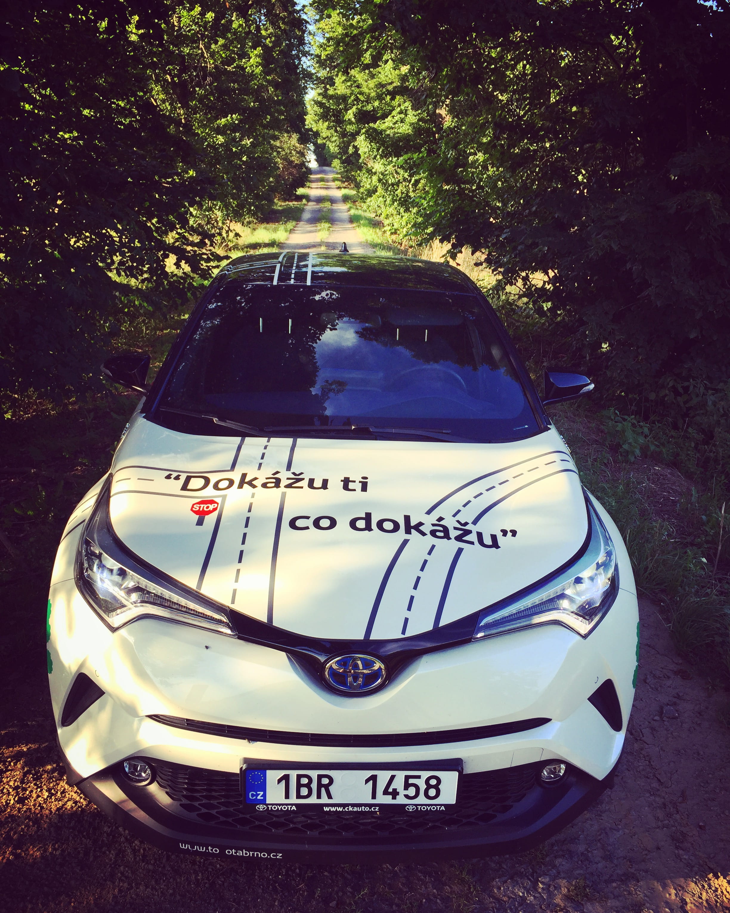 land vehicle, 2K, motor vehicle, western script, c-hr, toyota c-hr, outdoors, hybrid, nature, toyota, communication, white, greengreen car, no people, Phone HD Wallpaper