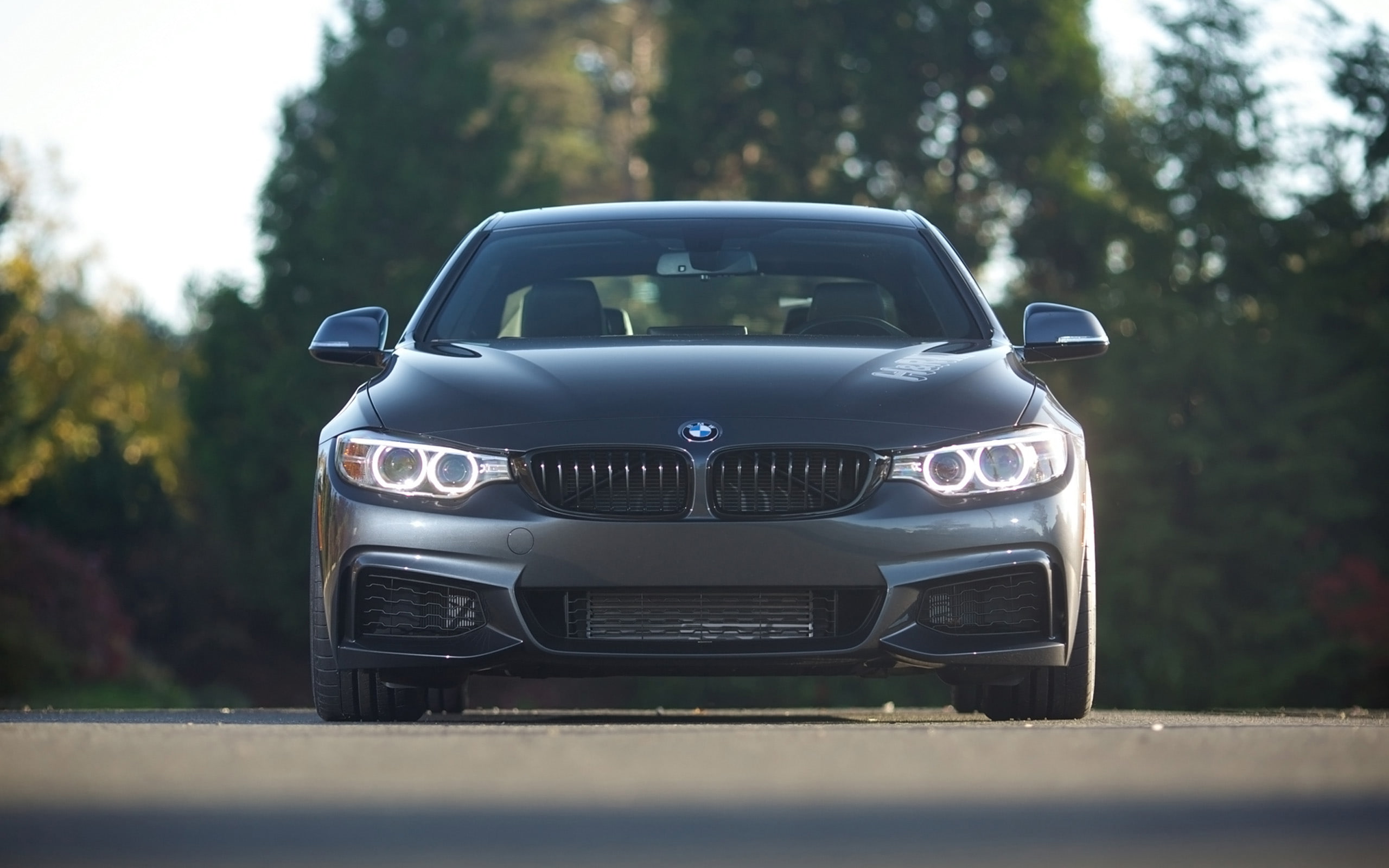 2014, 2K, m sport, bmw, coupe, hr springs, 428i, tuning, HD Wallpaper