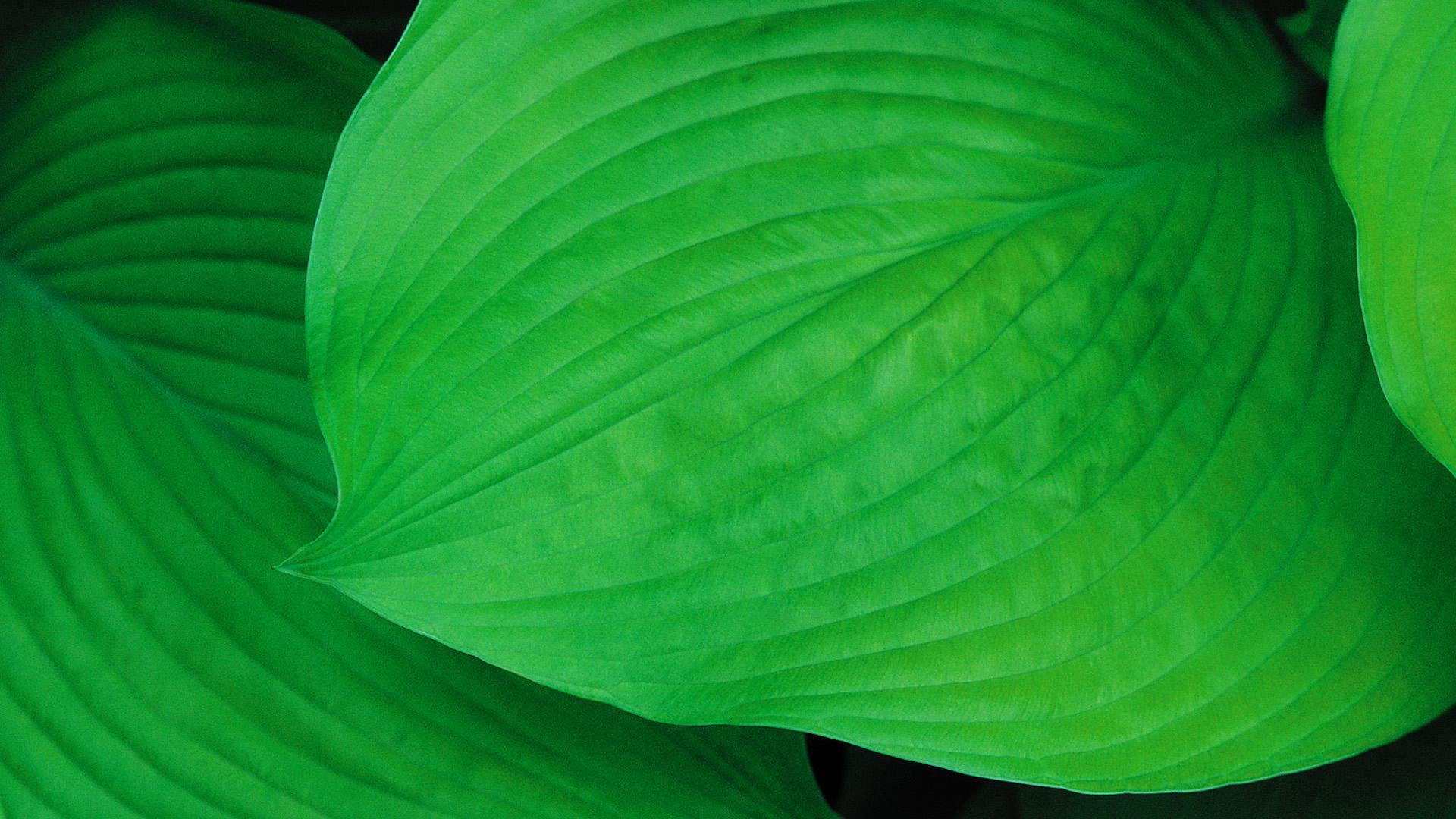1080P, improve, vision, desktop, HD Wallpaper