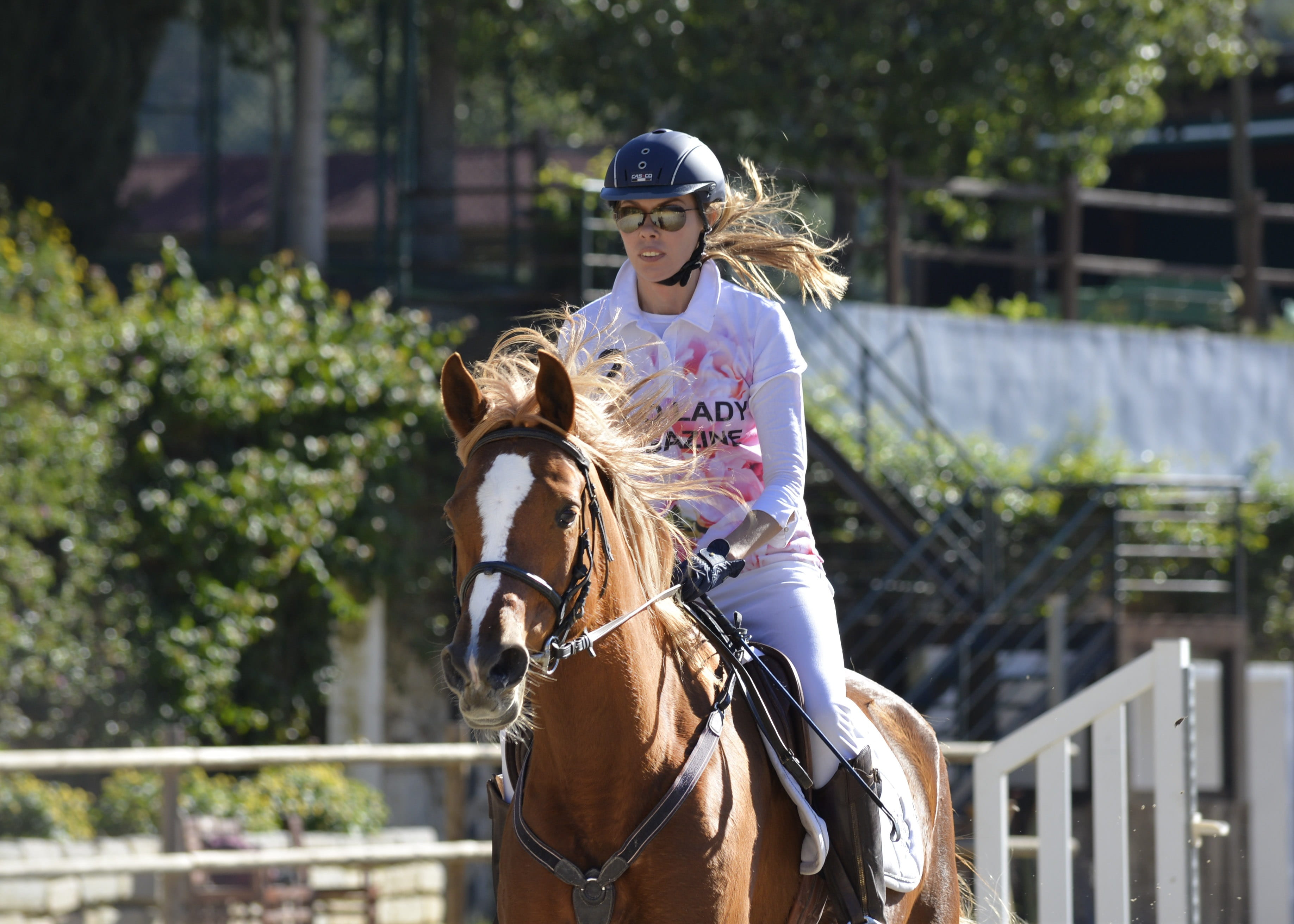 domestic, real people, day, lifestyles, focus on foreground, competition, teenager, one person, jump, animal wildlife, horse, leisure activity, pets, horseback riding, HD Wallpaper