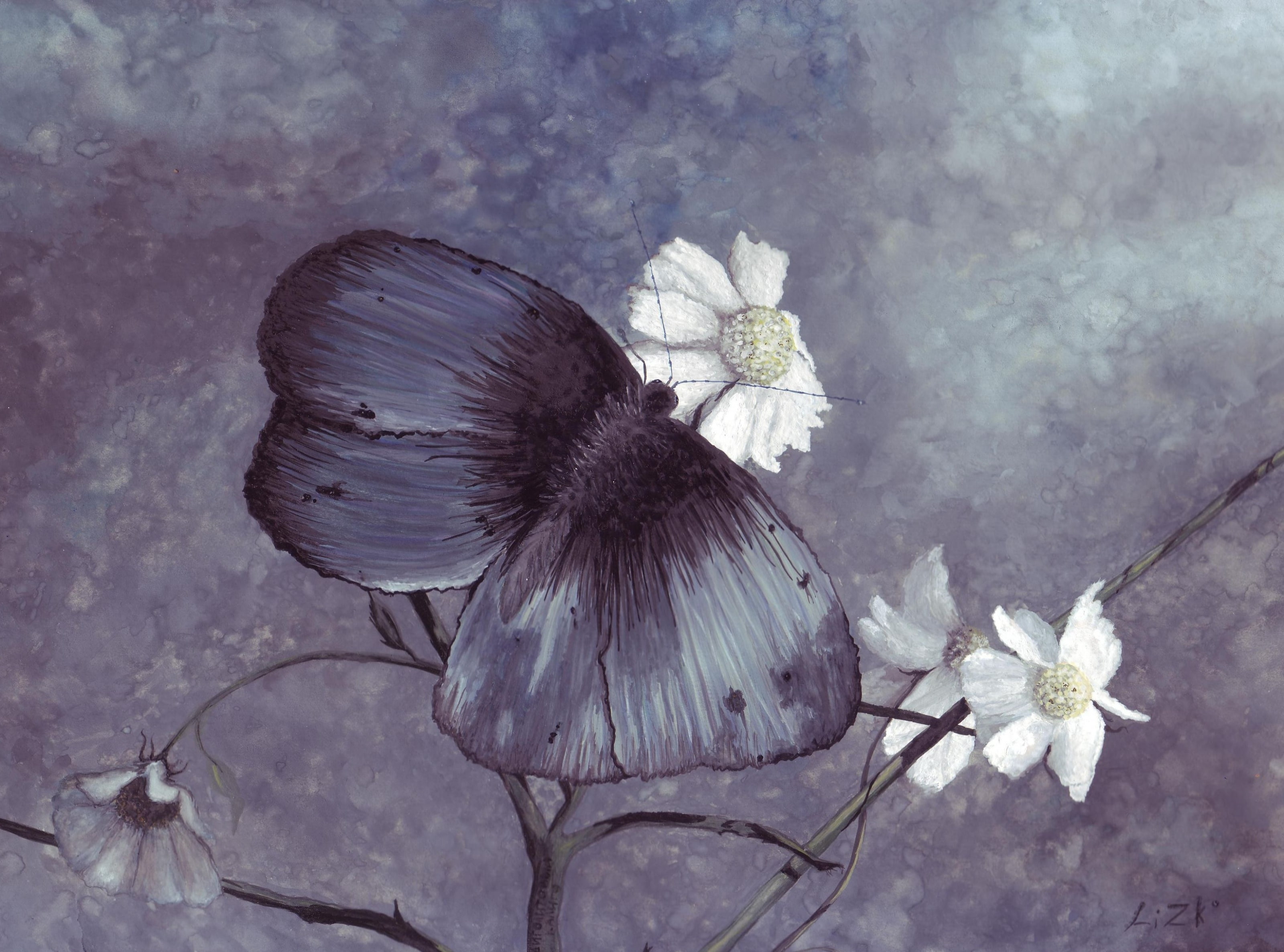 nature, flowers, Painting, Drawings, petal, animal wildlife, beauty in nature, outdoors, Butterfly, vulnerability, insect, no people, 2K, white, black, HD Wallpaper