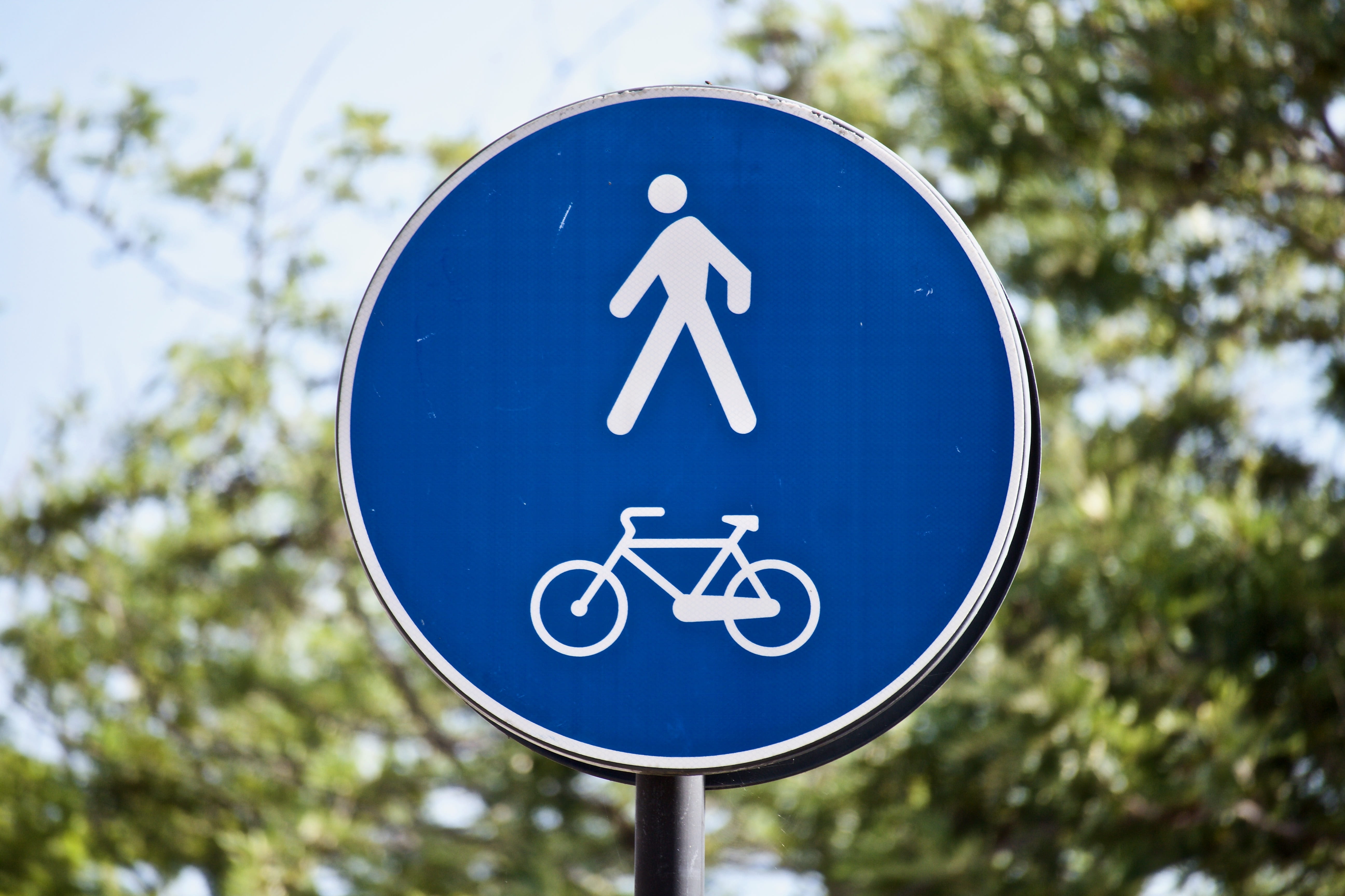 sign, cycle track, human representation, circle, bicycle, road sign, focus on foreground, street sign, symbol, cycling, 5K, design, guidance, day, tree, HD Wallpaper