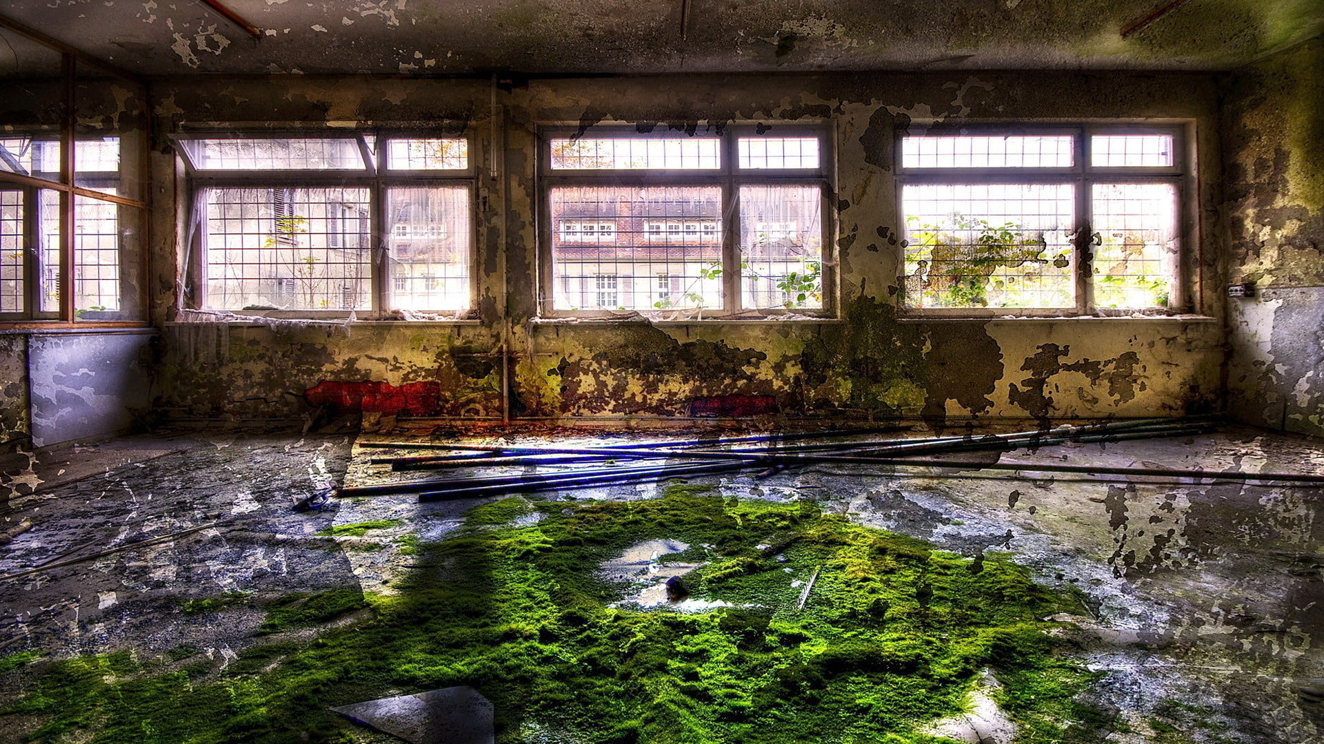 1080P, moss, bars, window, cityscape, room, abandoned, HD Wallpaper
