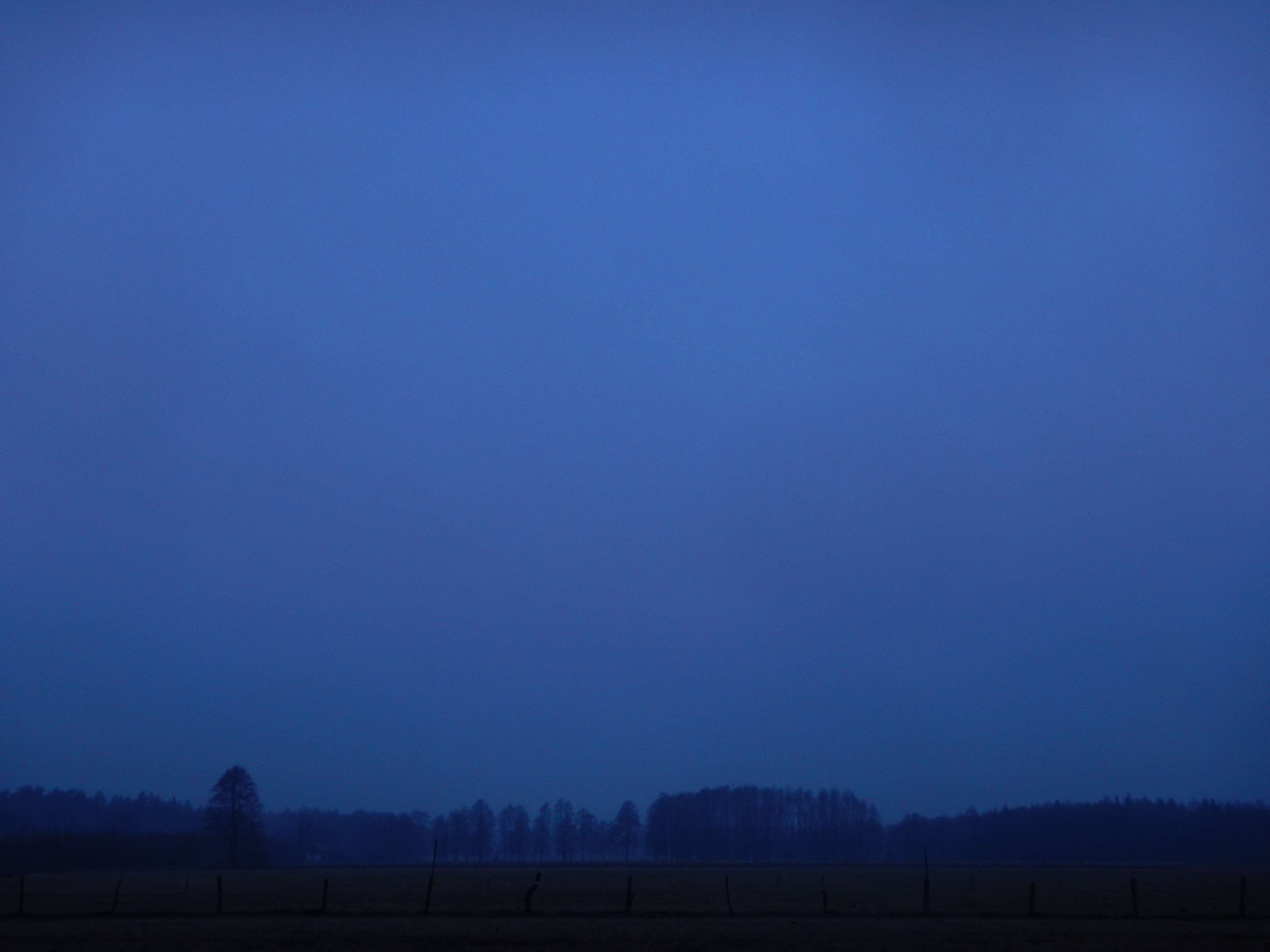 environment, rural scene, night, forest, copy space, fog, non-urban scene, landscape, tranquility, beauty in nature, tree, plant, nature, countryside, agriculture, HD Wallpaper