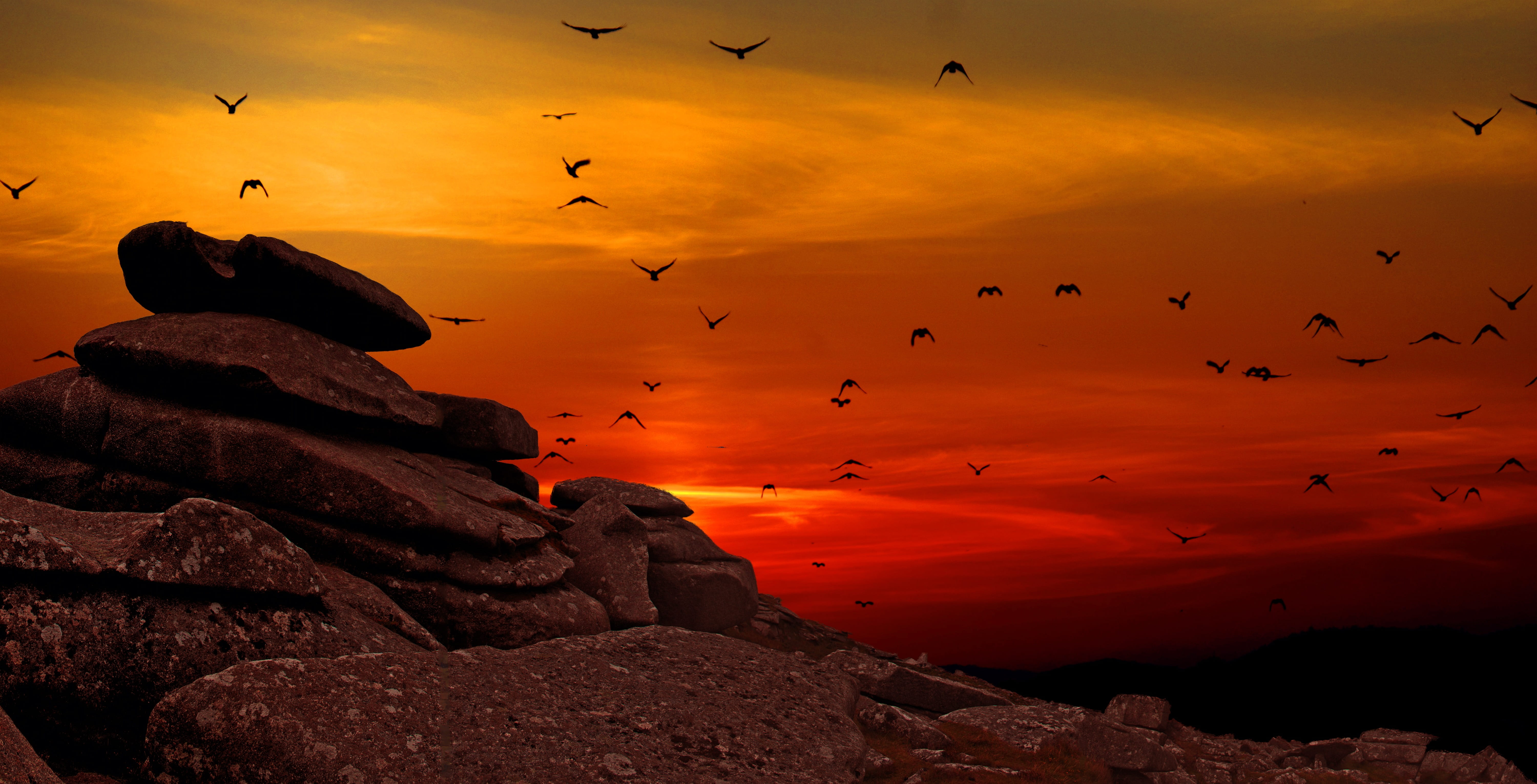 sunset, nature, wildlife, symbol, tourism, landscape, cloud - sky, natural, sunrise, sky, flight, power, animal themes, outdoors, rocks, mountain, birds, HD Wallpaper