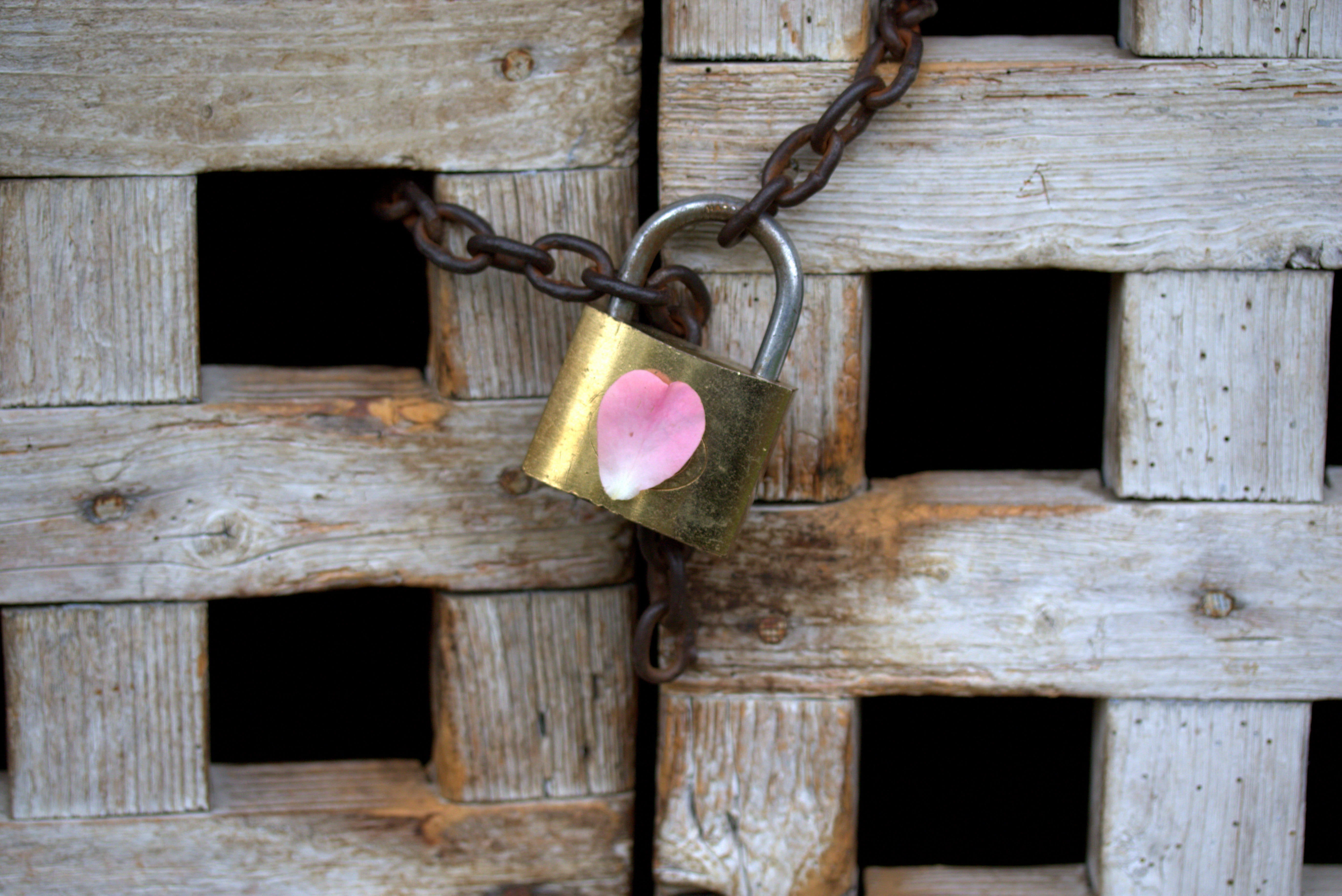 the metaphor, safety, love, no people, security, hanging, building exterior, 5K, heart shape, plant, architecture, close-up, door, outdoors, emotion, padlock, HD Wallpaper