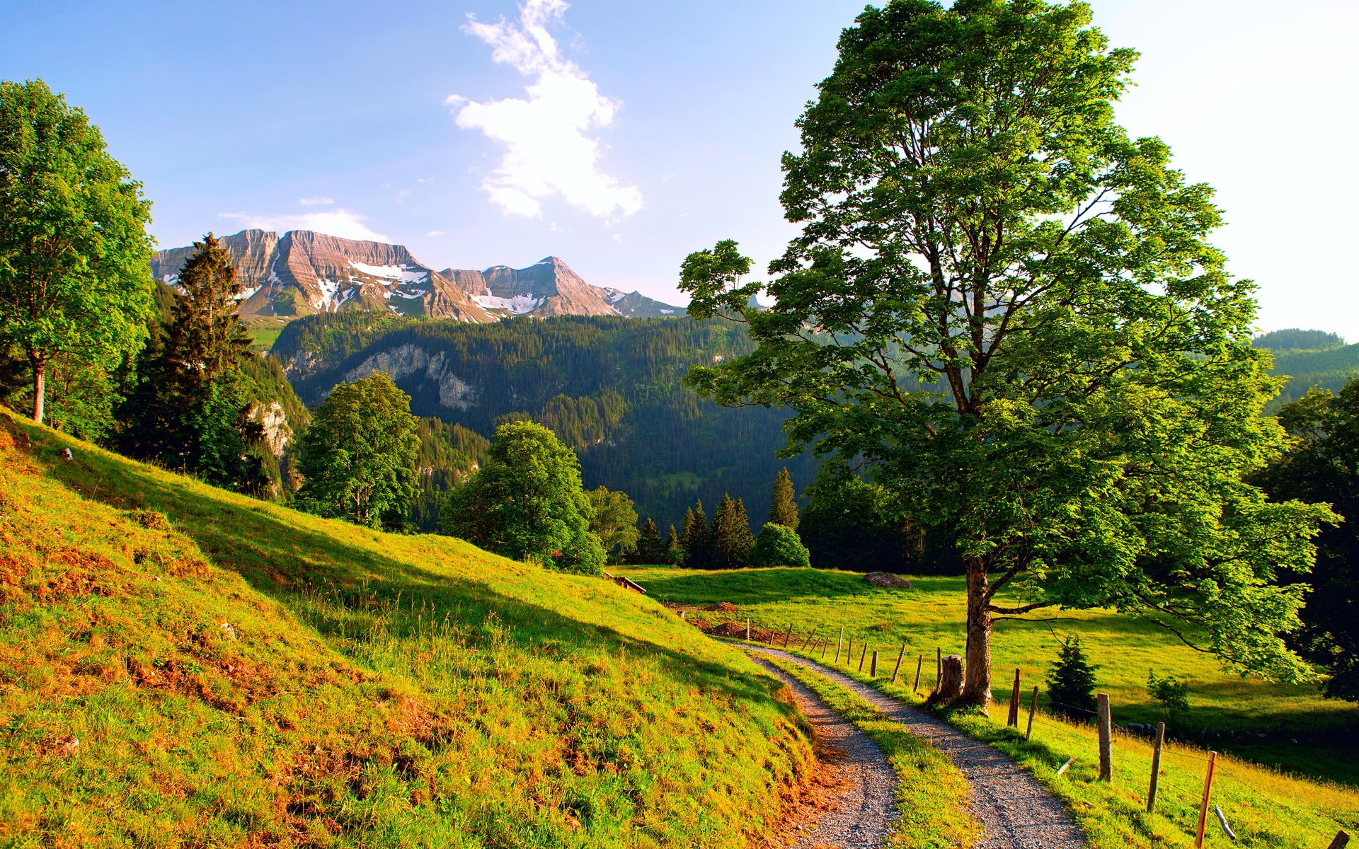 Summer, Landscape, 1080P, Trees, Road, Switzerland, Mountains, HD Wallpaper