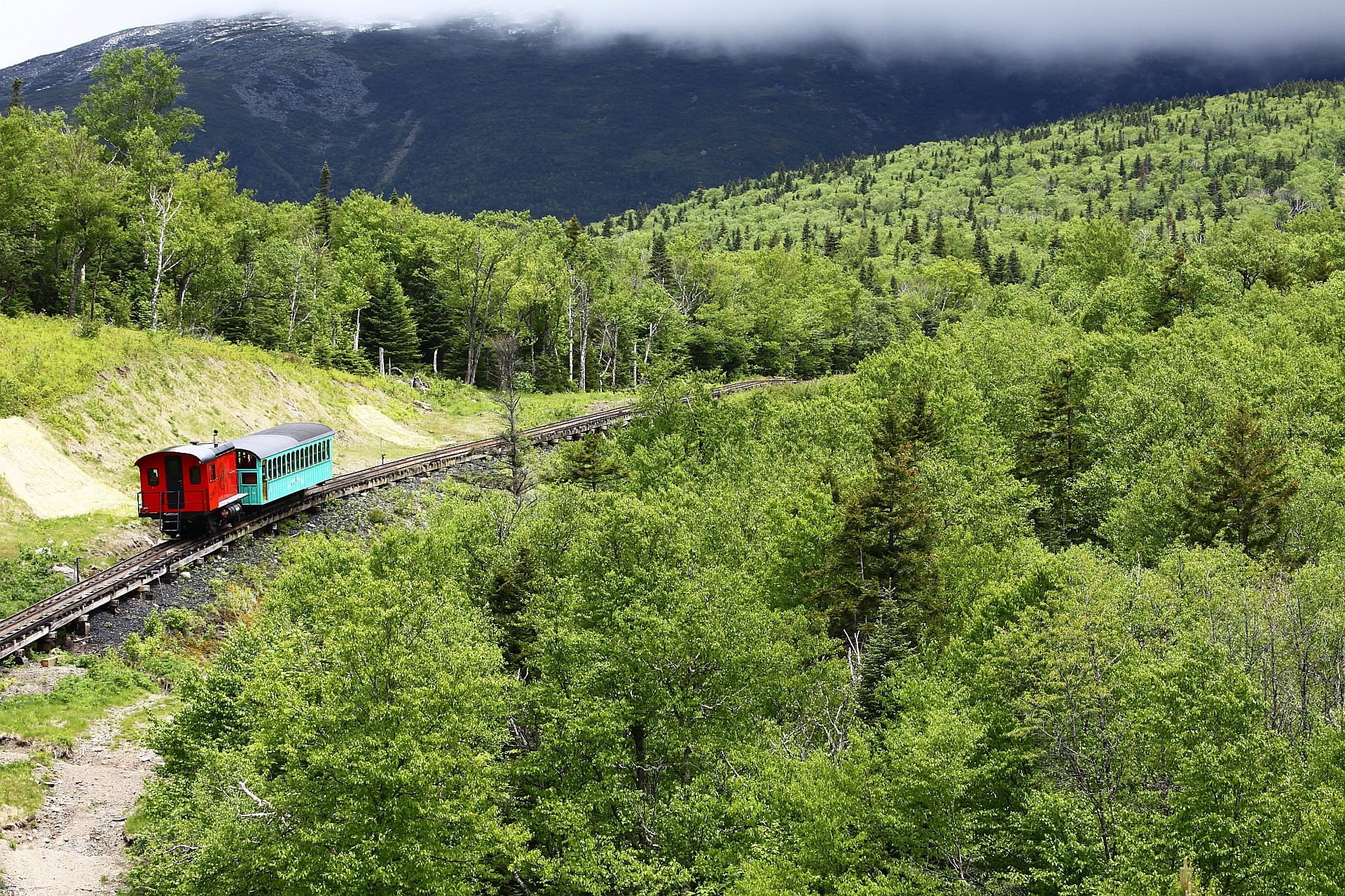 1080P, foliage, woods, mode of transportation, day, train, hampshire, forest, railroad Track, transportation, mountain, travel, green color, cog, land, HD Wallpaper