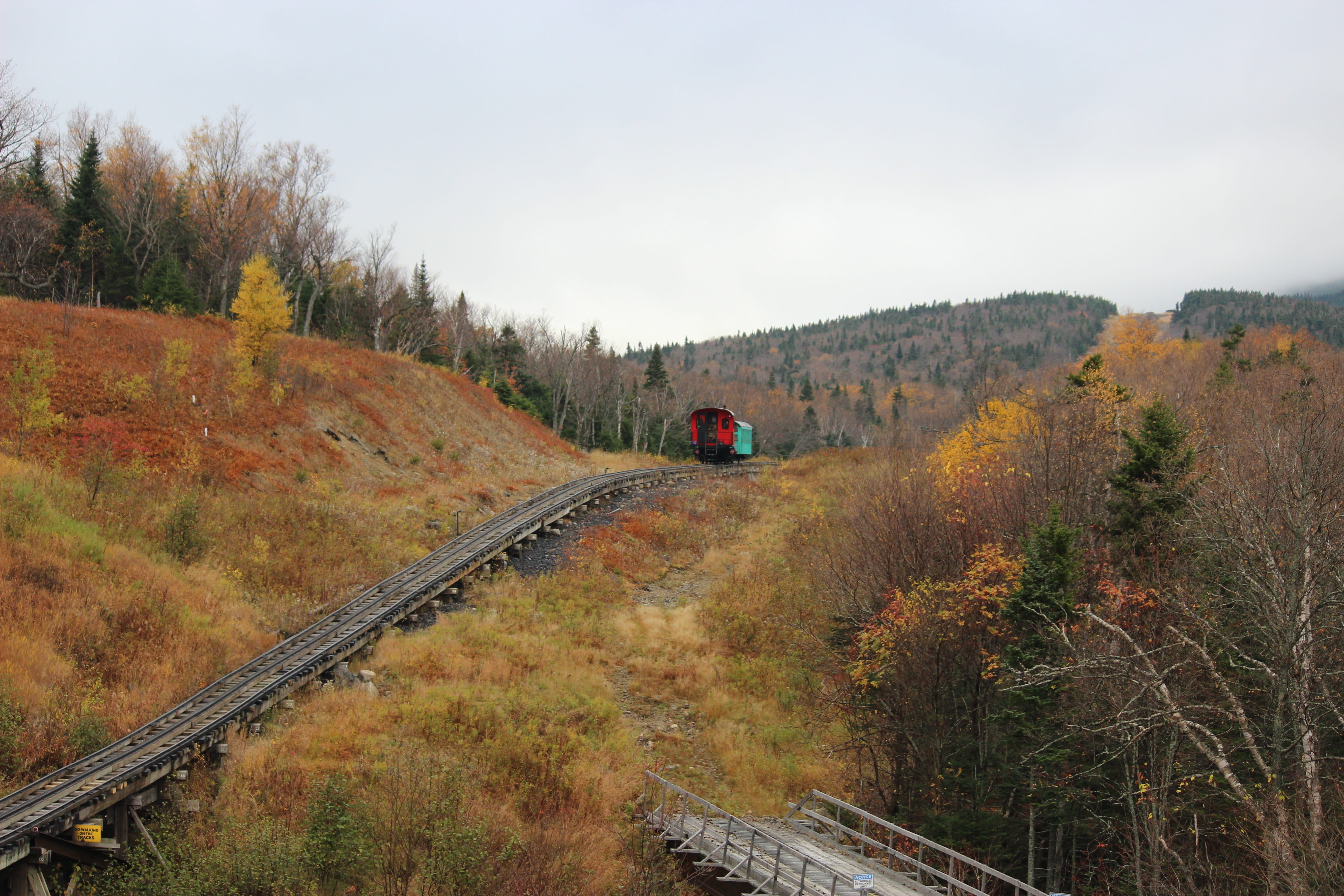 outdoor, change, rail transportation, no people, environment, 5K, nature, Trees, mt, forest, grass, washington cog railway, mode of transportation, country, HD Wallpaper
