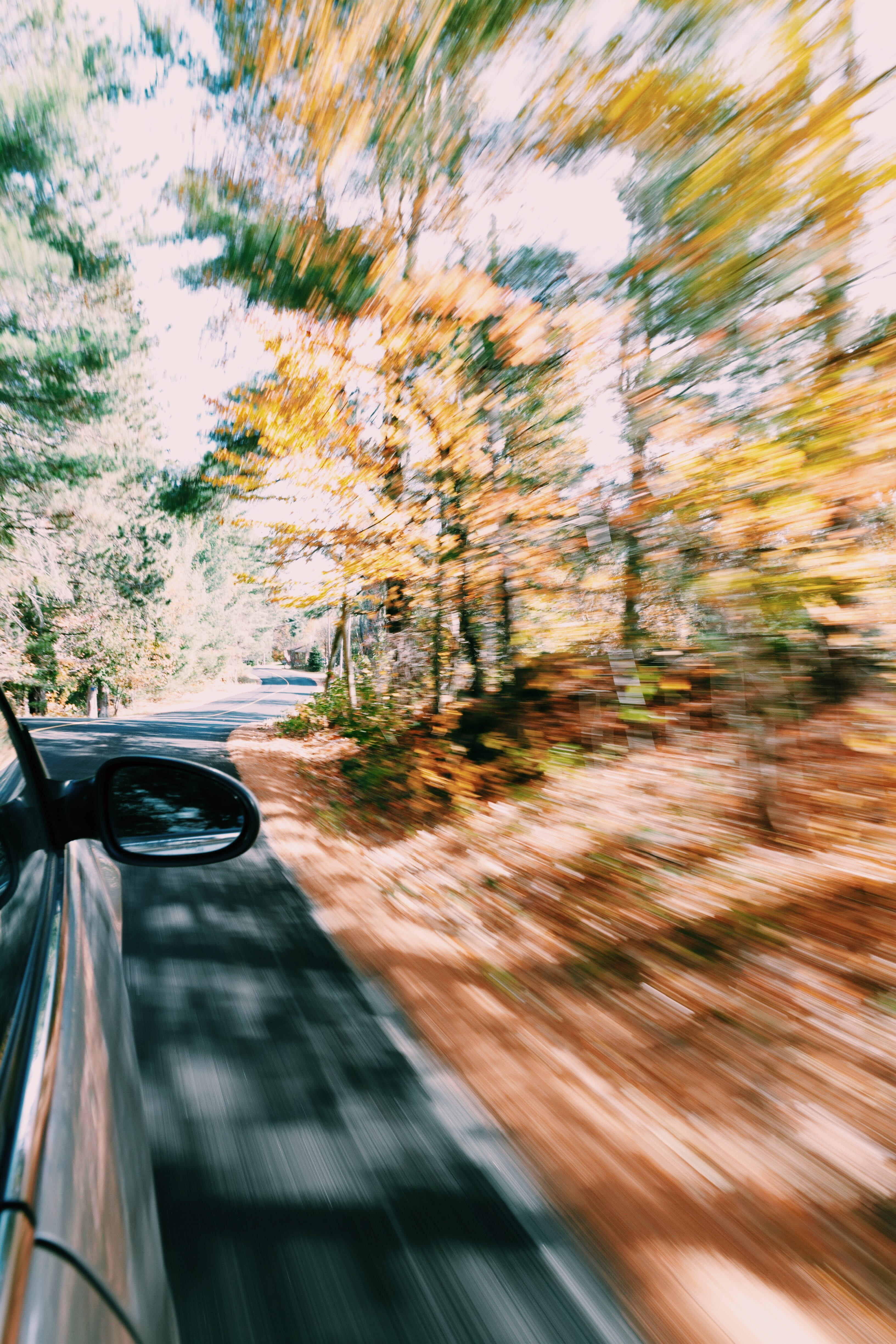 drive, travel, outdoors, blur, blurred motion, sunlight, showing, mode of transportation, on the move, movement, trees, tree, motion, silver, near, vehicle interior, Phone HD Wallpaper
