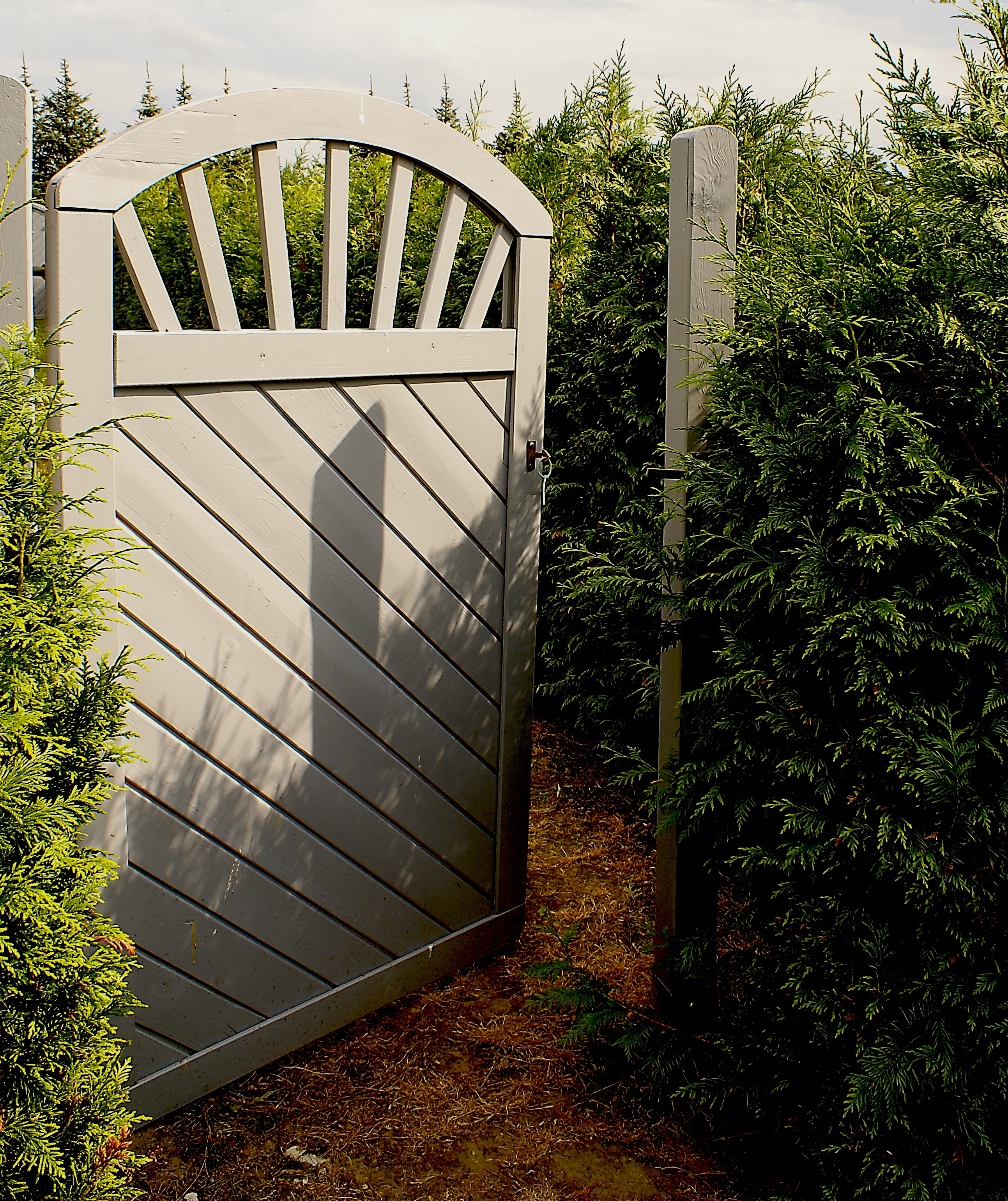 green, entrance, the door to the forest, sunny, connection, needle, afternoon, 2K, no people, the door, gate, leaf, front or back yard, building exterior, Phone HD Wallpaper