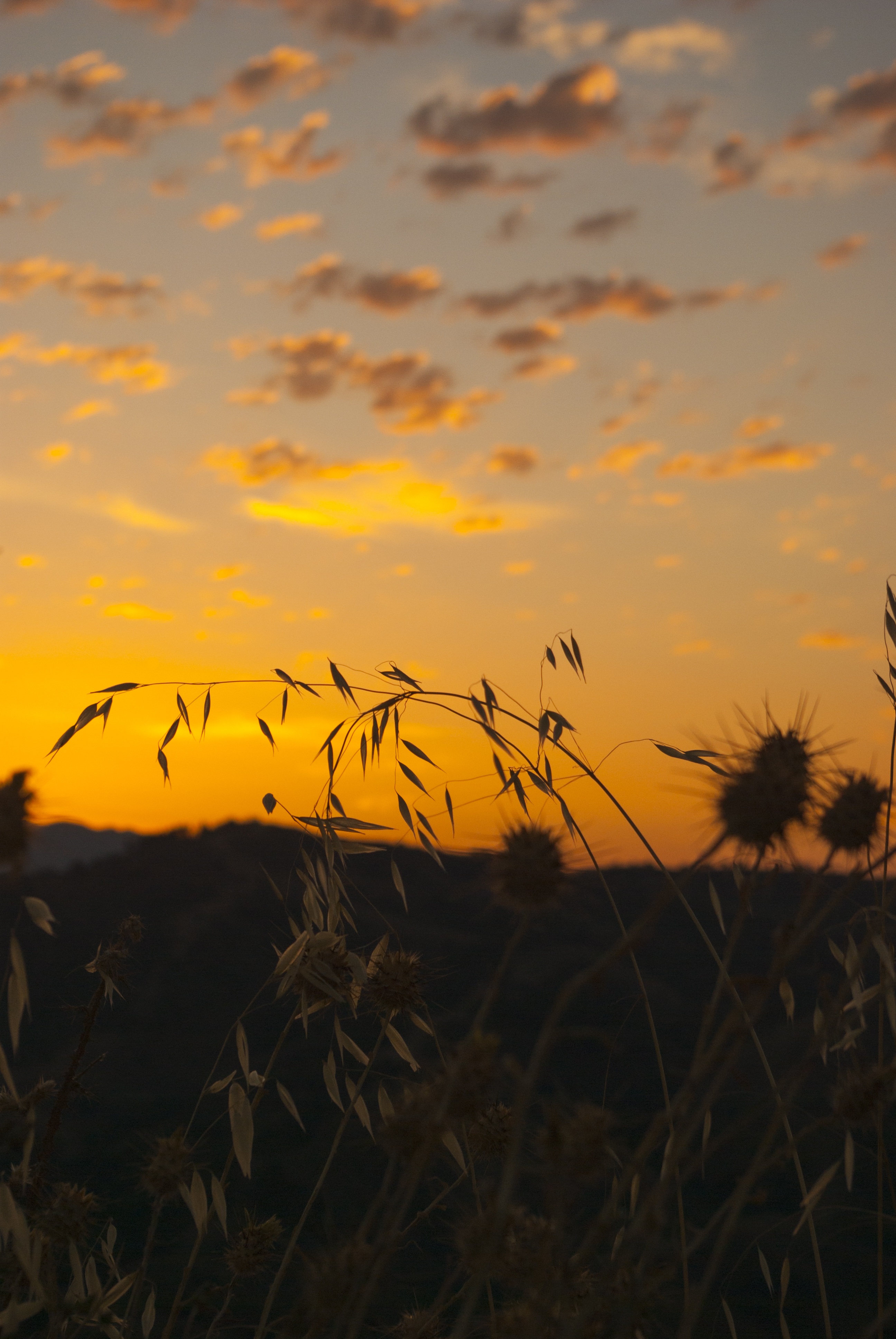 peña, sadness, at night, cloud - sky, agriculture, morning sun, sky, tranquility, beauty in nature, nature, nuebes, the light of the sun, beauty, landscape, Phone HD Wallpaper