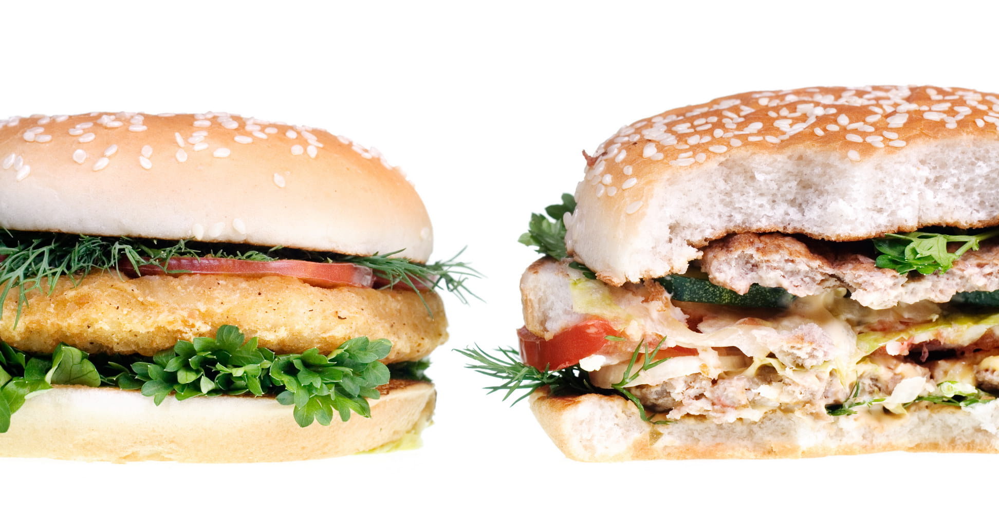 cuisine, unhealthy, sesame, bread, food and drink, close-up, single, cheddar, burger, colorful, closeup, freshness, lettuce, nutrition, shot, white background, HD Wallpaper
