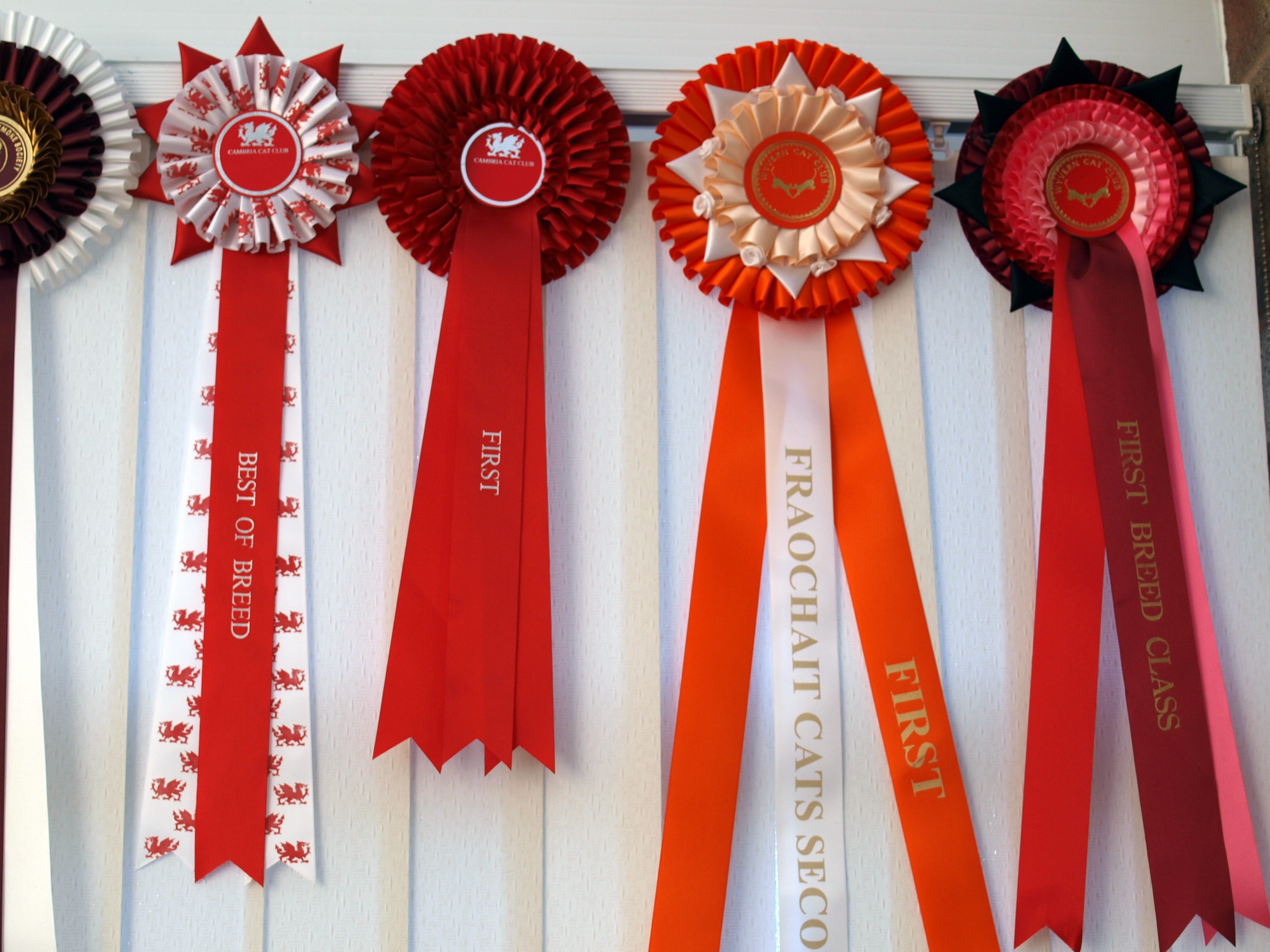 side by side, white color, arrangement, prize, rosettes, no people, first, in a row, close-up, art and craft, red, wood - material, communication, textile, HD Wallpaper