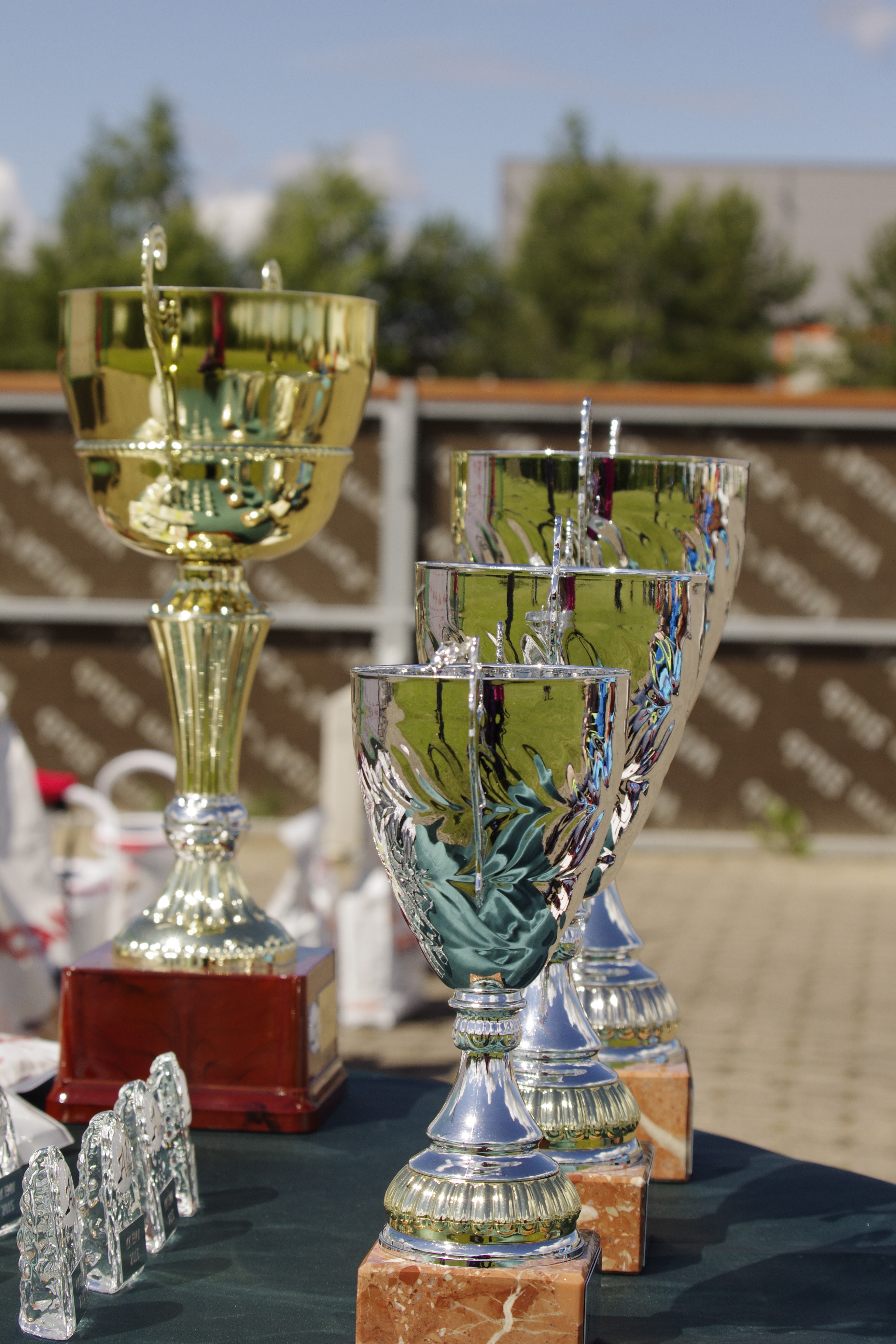 shiny, prize, trophy, focus on foreground, 4K, achievement, day, pride, close-up, success, gold, outdoors, winning, metal, colored, competition, railing, Phone HD Wallpaper