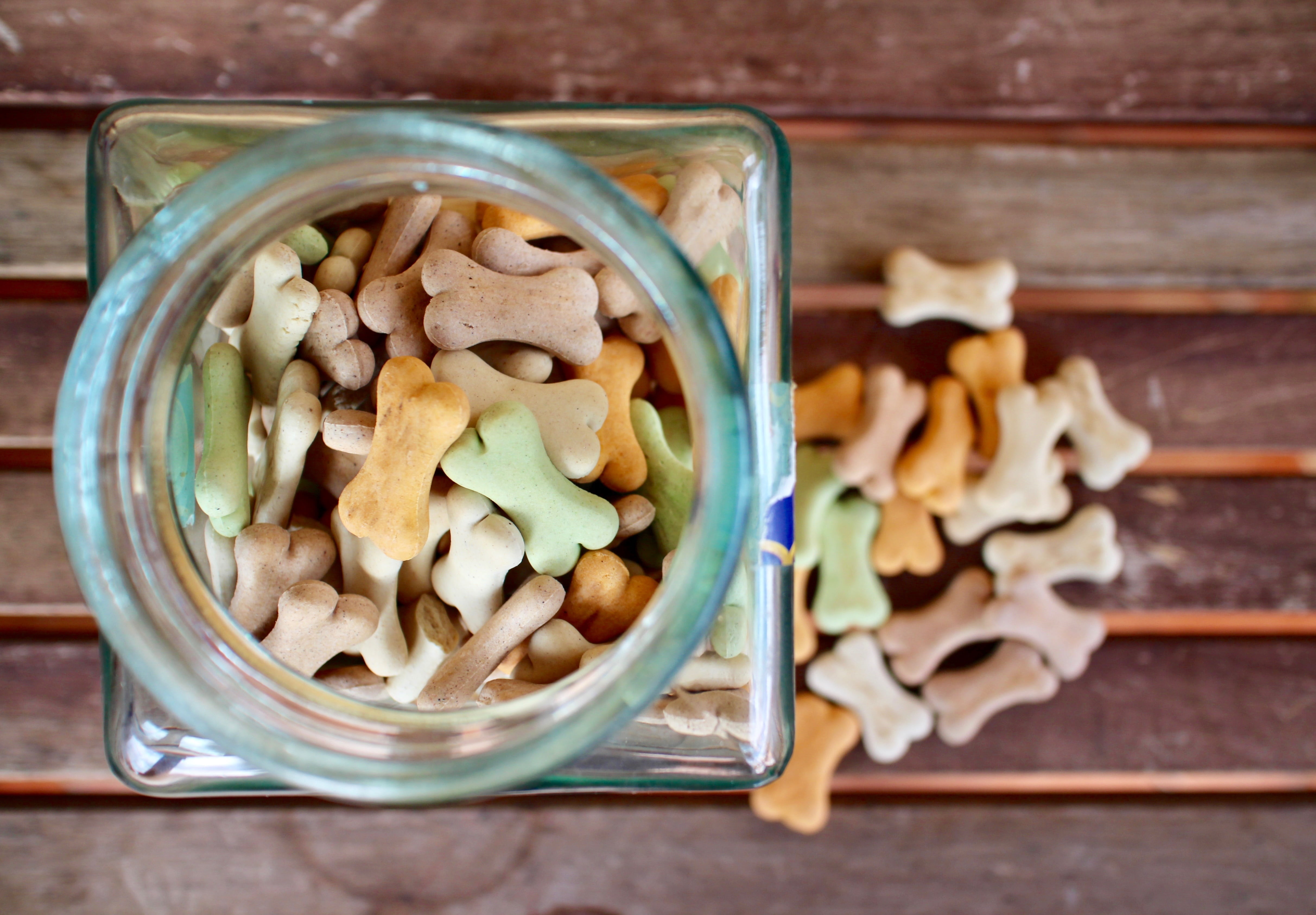 prize, bowl, wood - material, freshness, food, bones, wellbeing, high angle view, indoors, breakfast, animals, jar, 4K, nut - food, cans, food animals, HD Wallpaper