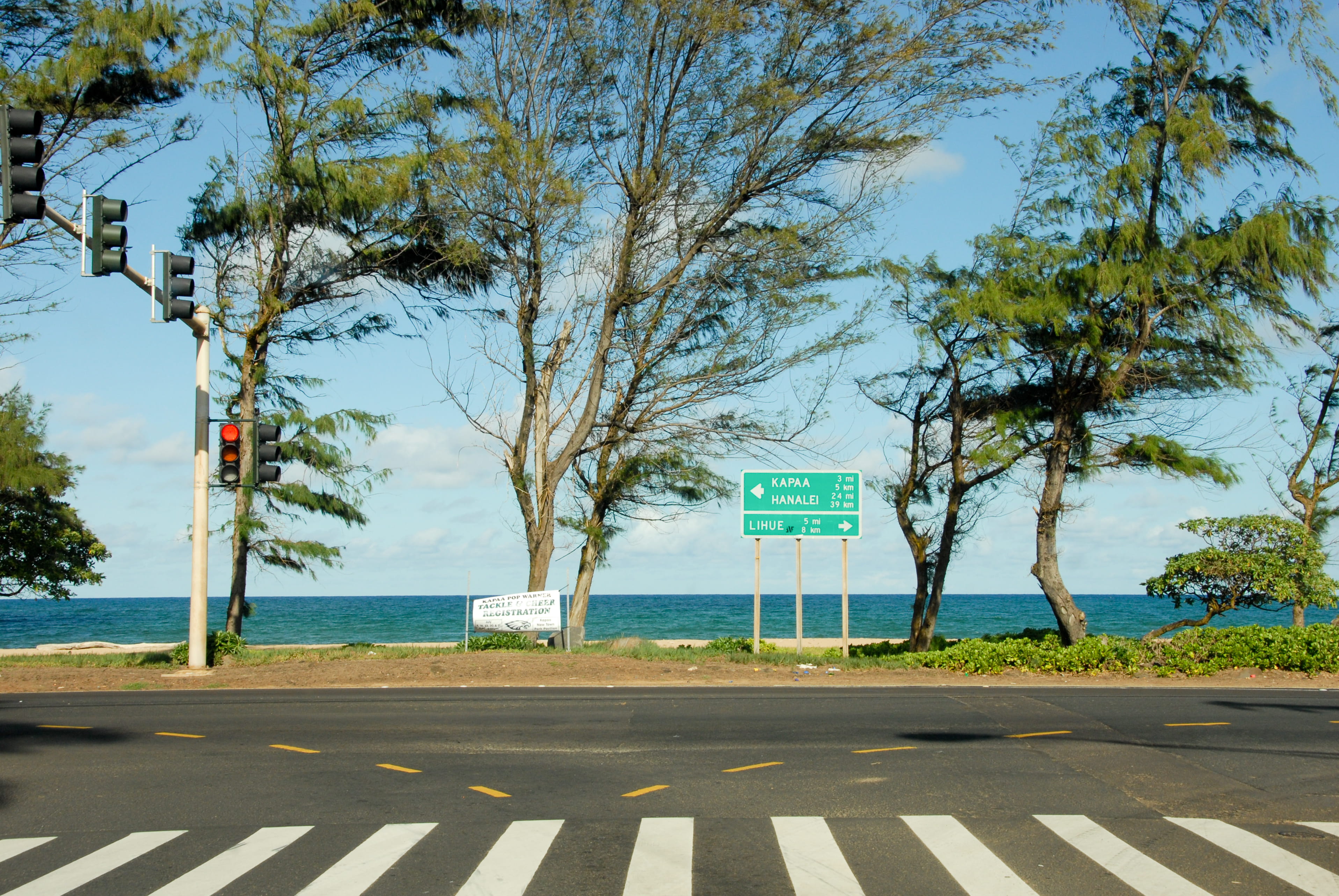 text, tarmac, united states, western script, nature, information sign, plant, 2K, outdoors, ocean, communication, sign, no people, hawaii, tree, information, HD Wallpaper