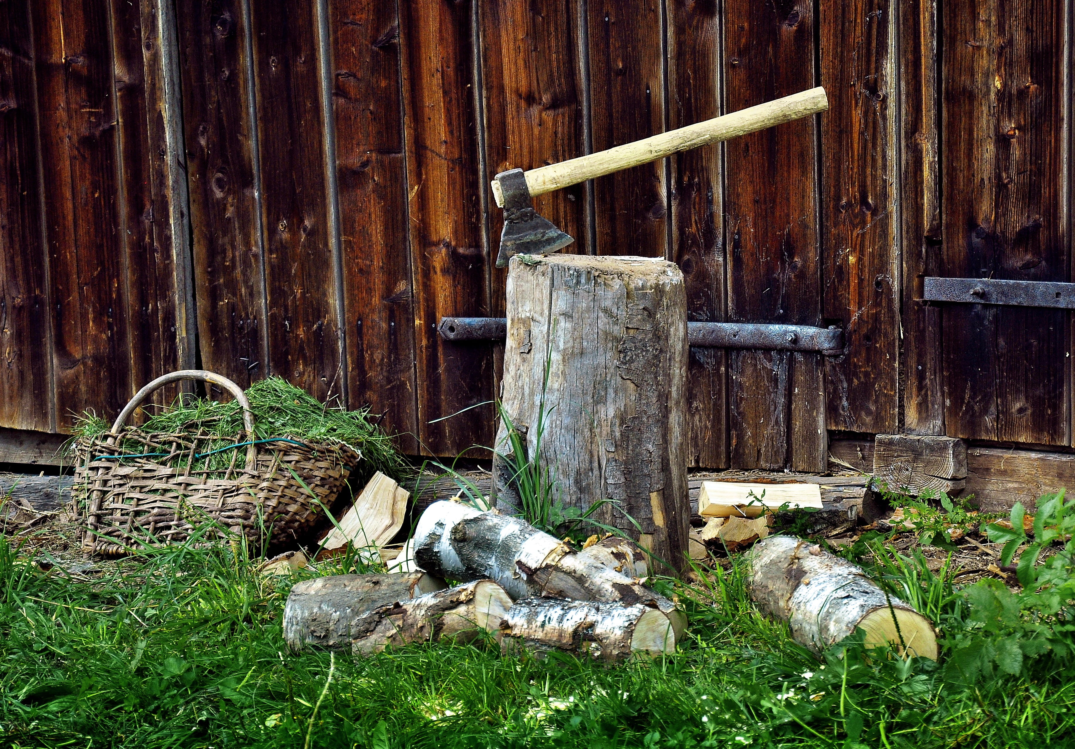 log, handle, grass, nature, land, brown, black, entrance, 2K, logs, old, built structure, abandoned, fuel, architecture, sunlight, growth, chopping, day, HD Wallpaper