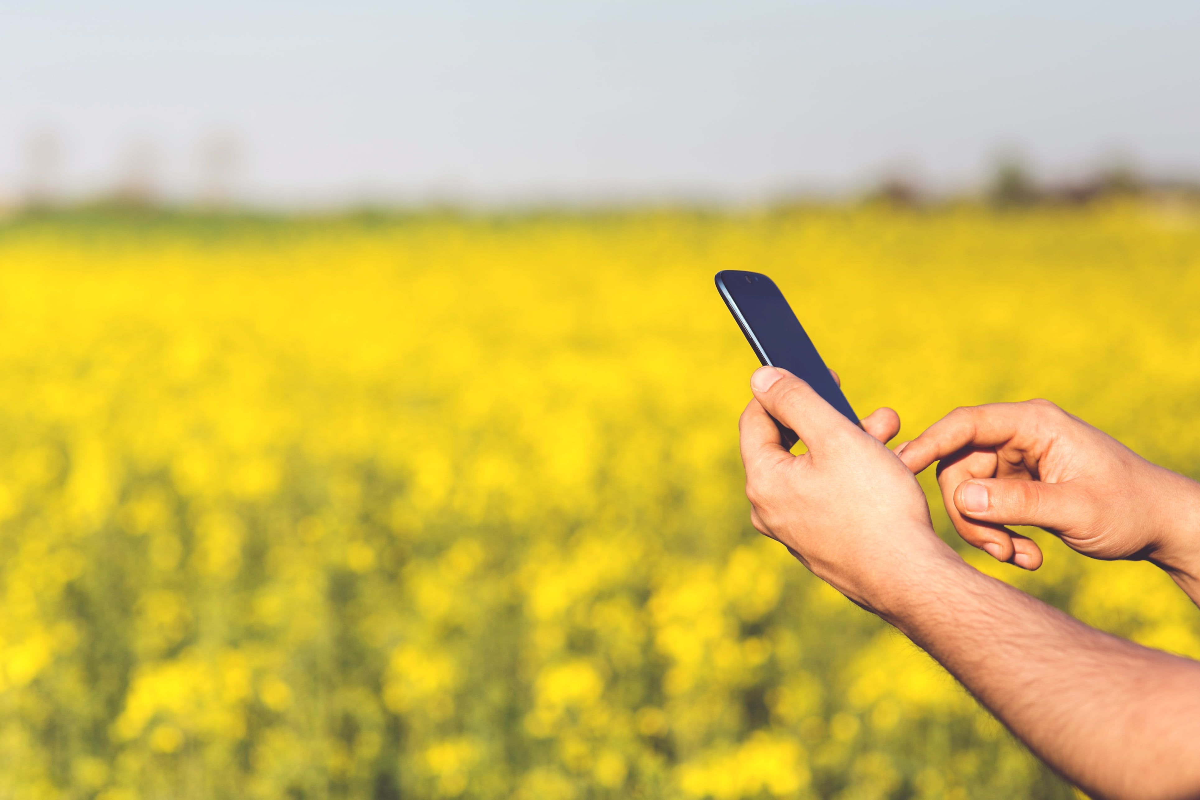 crop, land, body part, mobile phone, nature, man, android, technology, flowers, oilseed rape, connection, hand, field, 4K, touchscreen, person, outdoors, HD Wallpaper