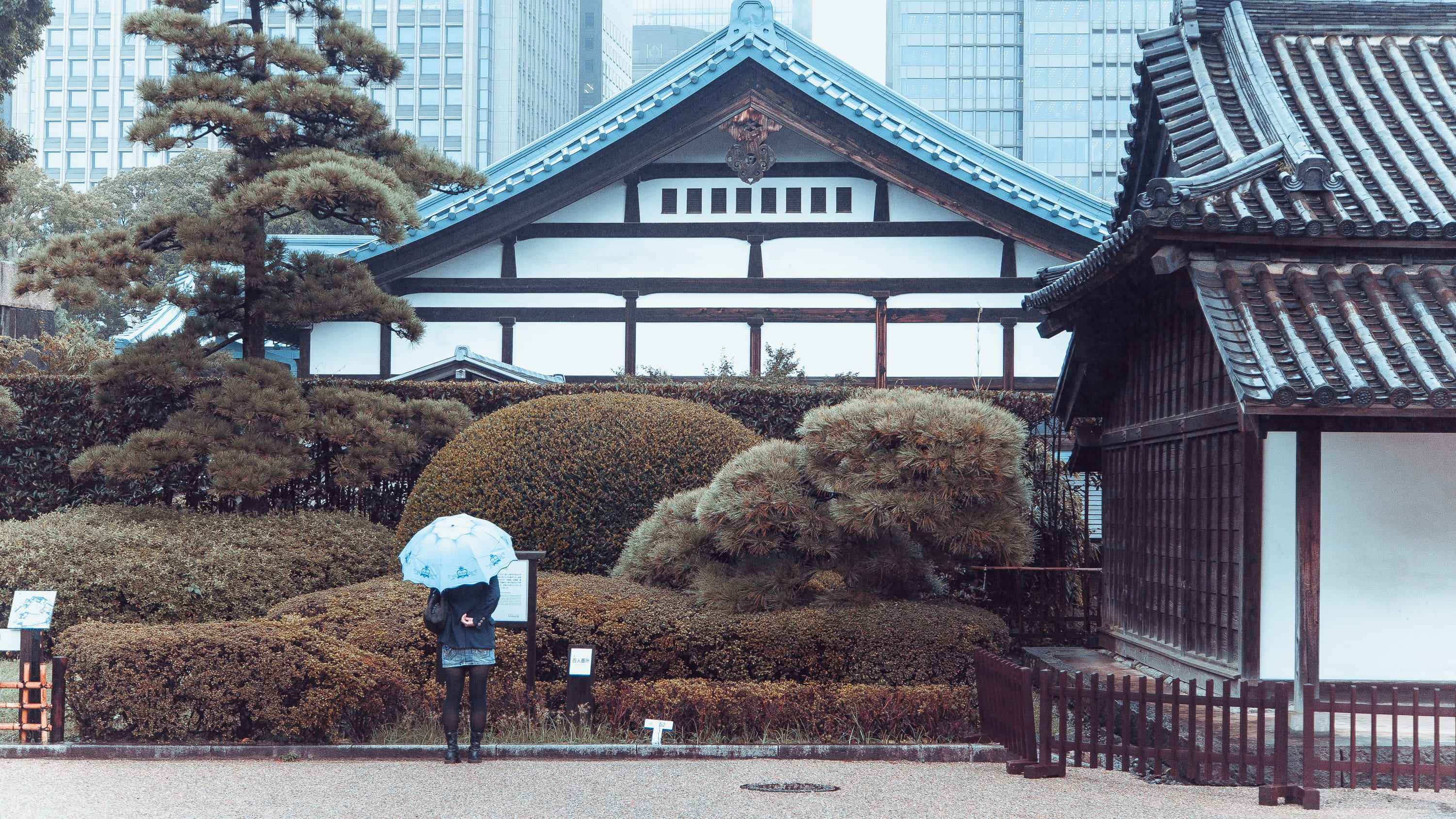 one person, building exterior, 2K, imperial palace, rear view, winter, built structure, standing, tokyo, plant, chiyoda-ku, japan, lifestyles, real people, HD Wallpaper