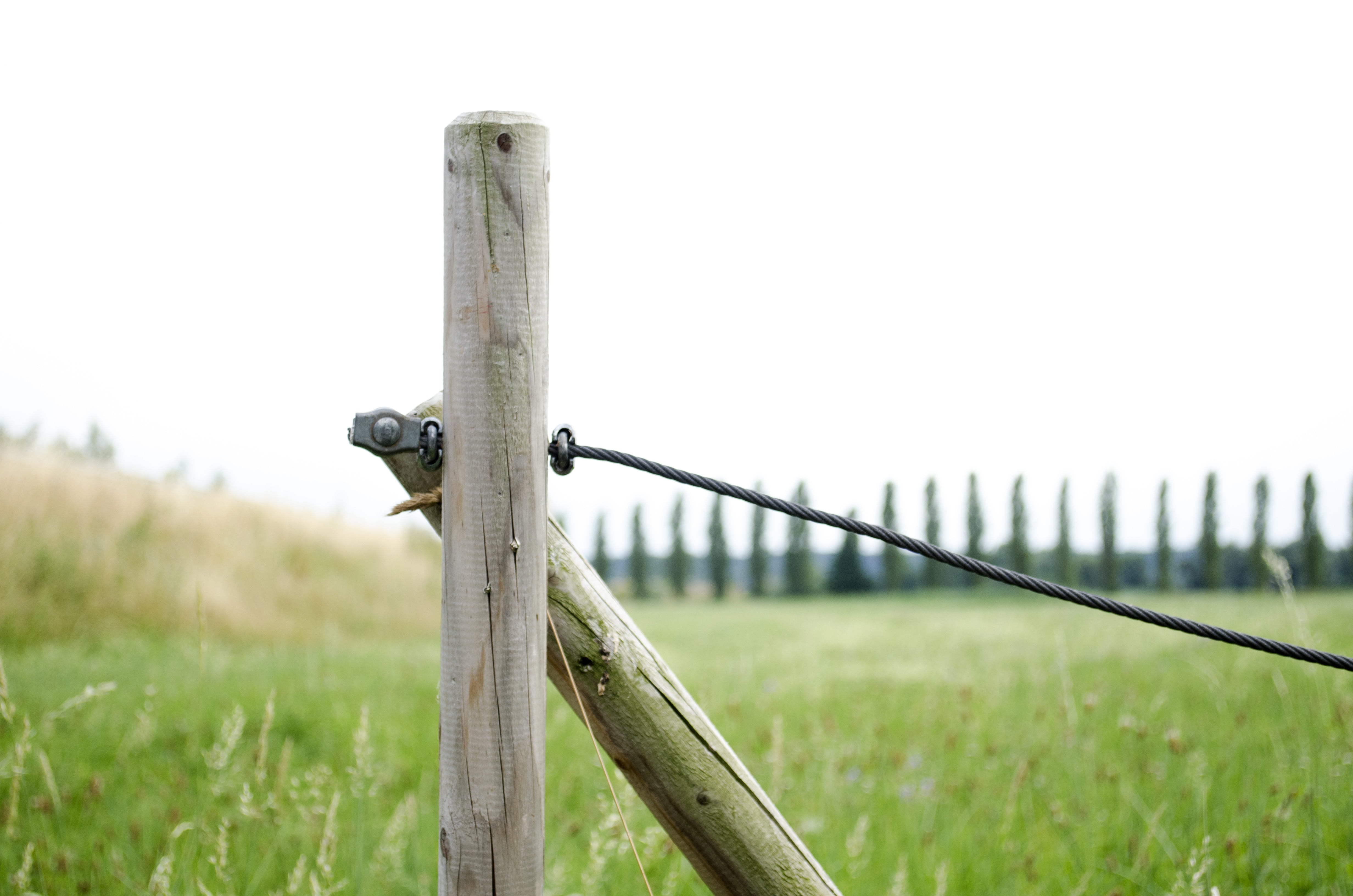 focus on foreground, wooden post, background, pile, 4K, post, field, yellow, alloy, protection, outside, day, plant, fence, trees, land, pile of wood, HD Wallpaper