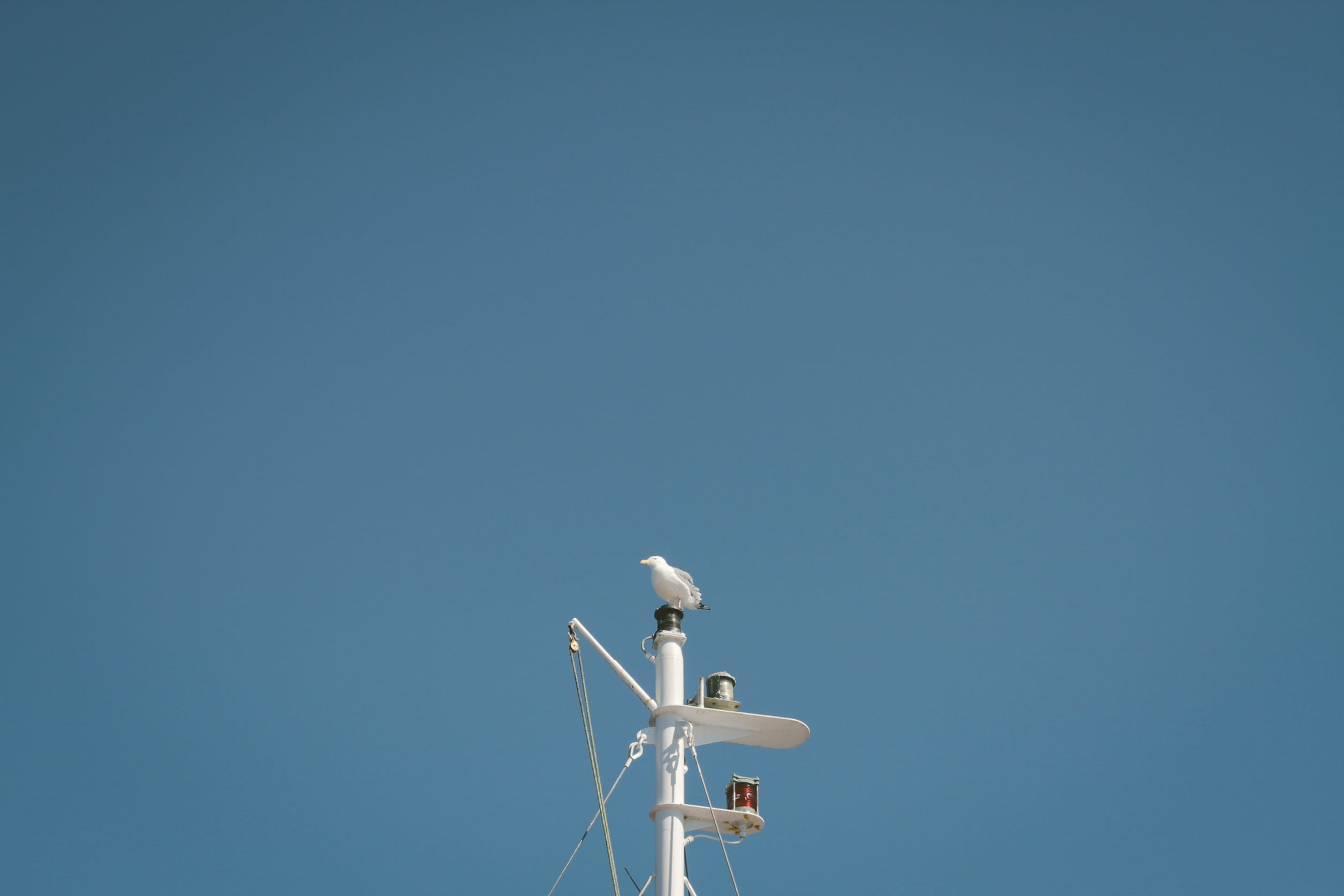 environmental conservation, connection, blue, architecture, megaphone, communication, wireless technology, antenna - aerial, sky, copy space, broadcasting, HD Wallpaper