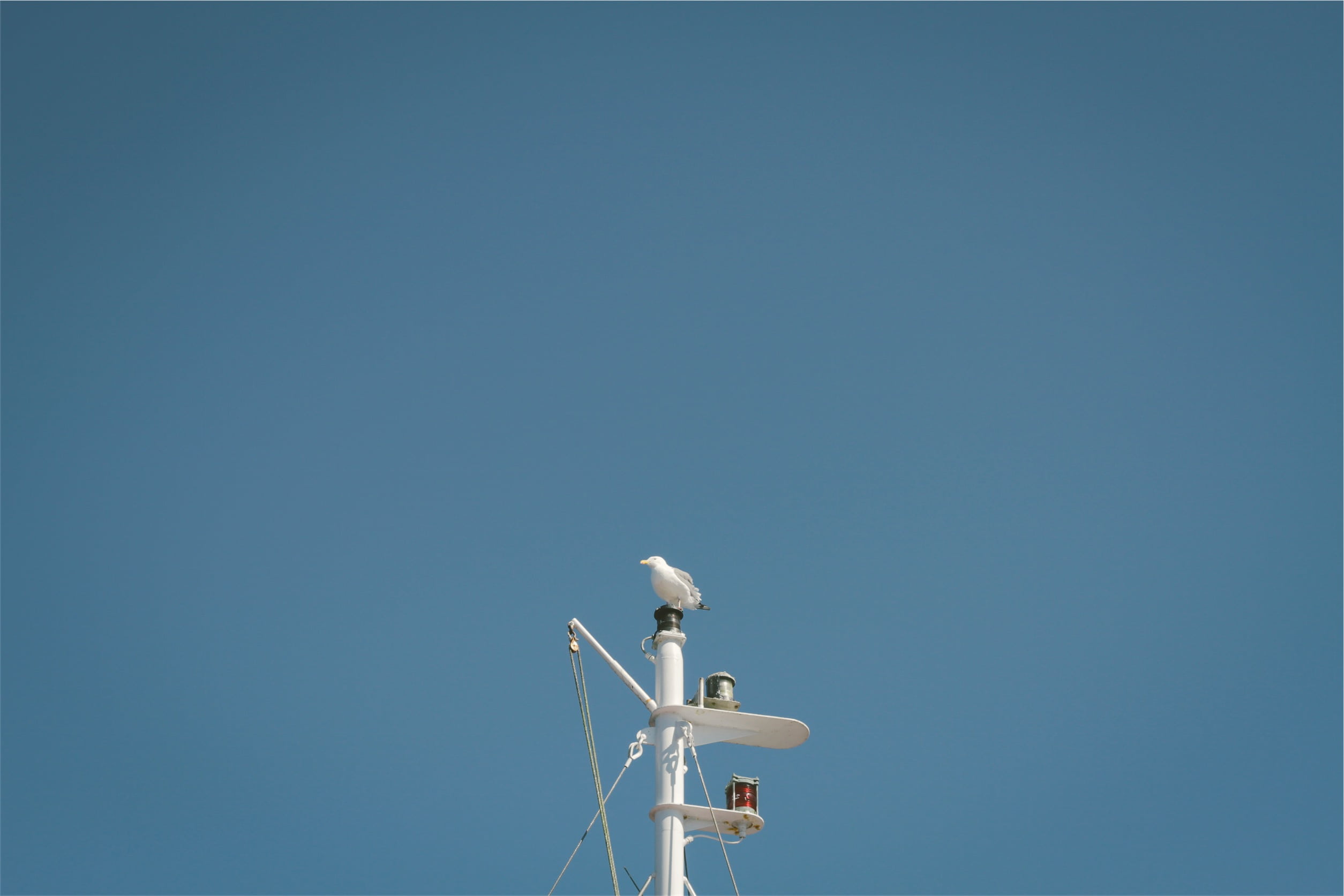 copy space, solar panel, day, nature, architecture, white, antenna - aerial, tower, sunny, metal, sky, no people, blue, sunlight, megaphone, mast, clear sky, HD Wallpaper