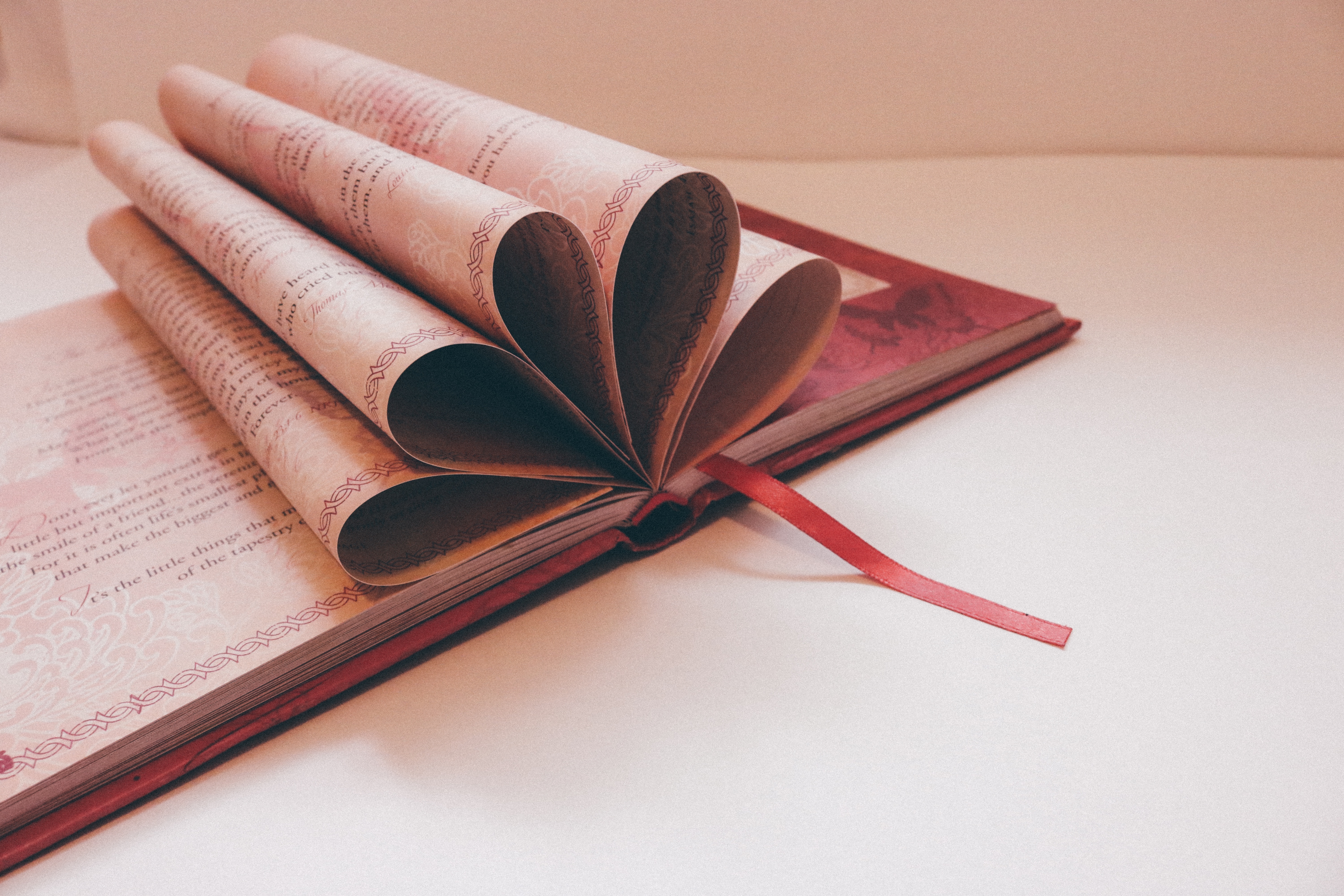 literature, pen, studying, school, still life, college, no people, surface, education, book, textbook, close-up, journal, white, art and craft, page, educational, HD Wallpaper
