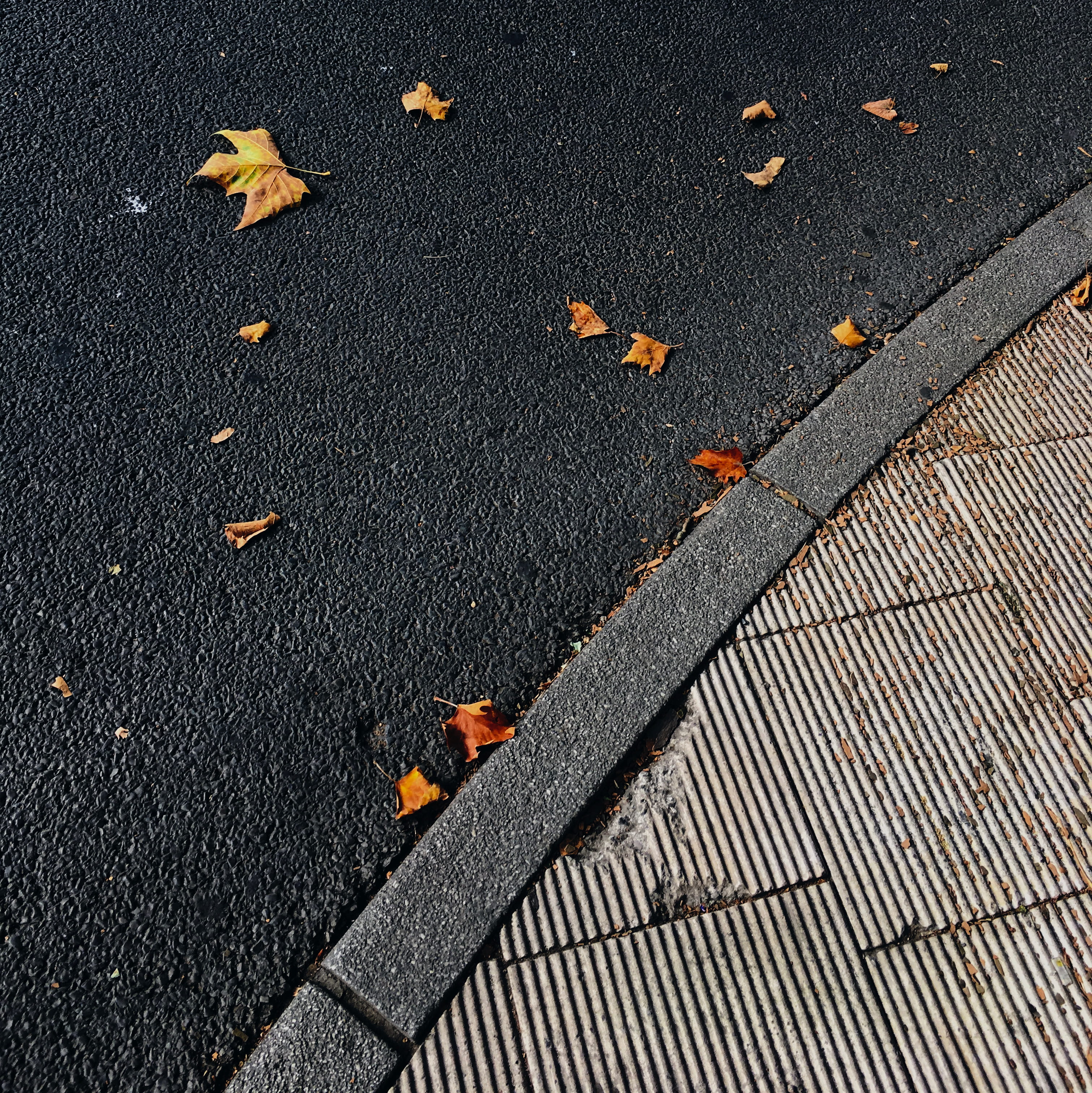 concrete, nature, backgrounds, fall, 2K, pattern, gray, rough, closeup, sidewalk, traffic, autumn, leafe, urban Scene, highway, asphalt, outdoors, street, Phone HD Wallpaper