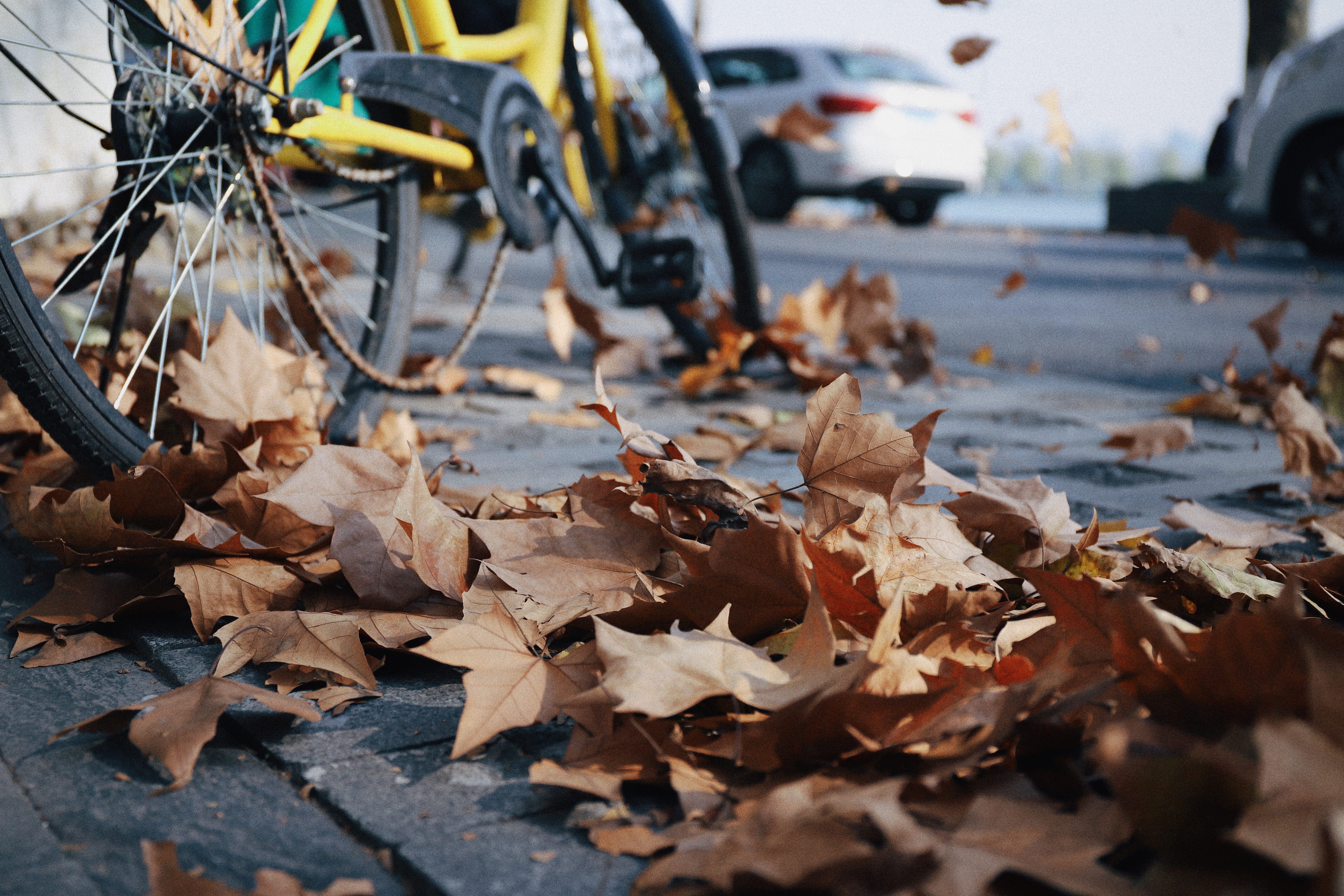 land vehicle, 5K, wheel, dried, car, yellow, pavement, gear, natural condition, change, leaves, leaf, fall, falling, focus on foreground, street, surface level, HD Wallpaper