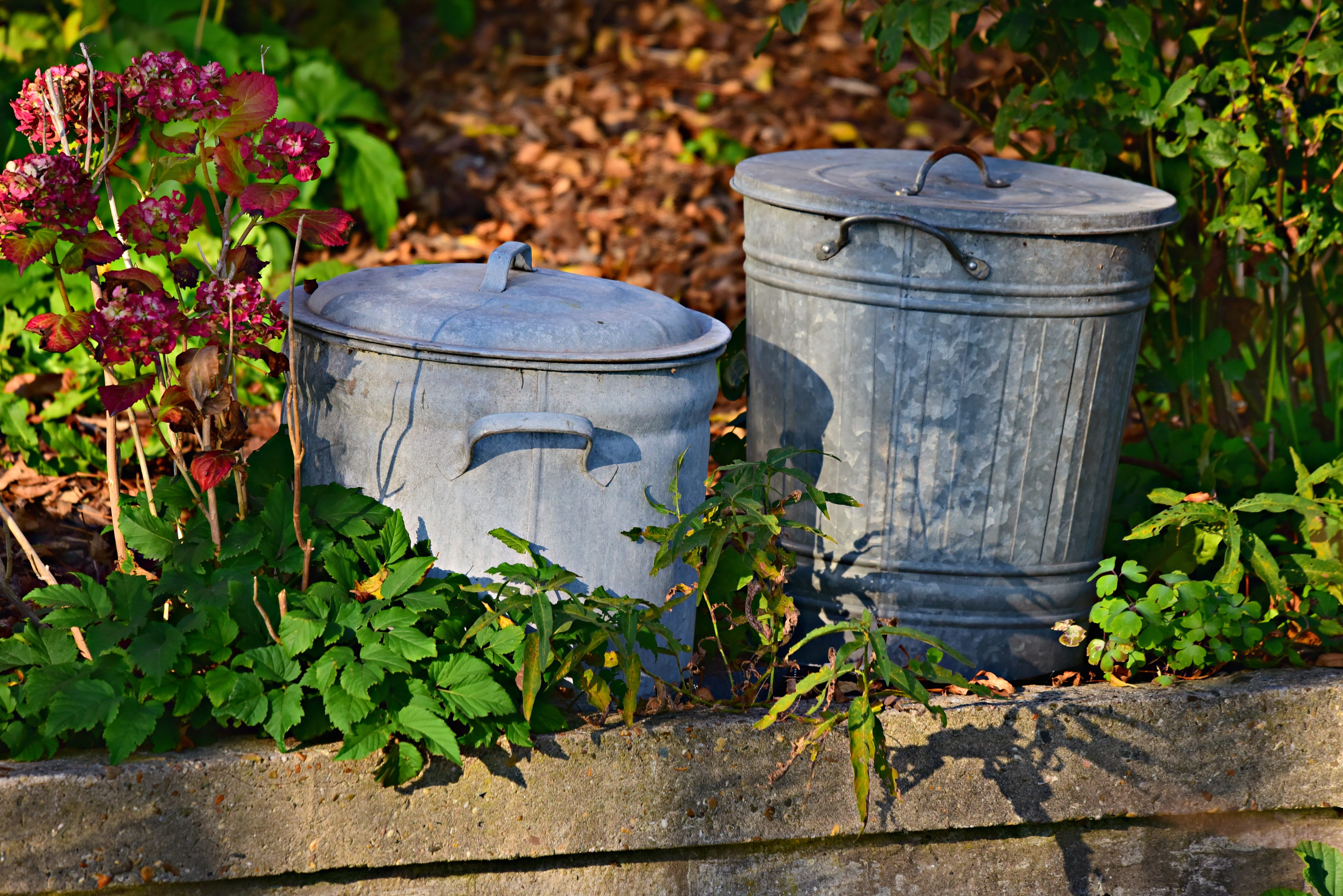 dustbin, plant part, focus on foreground, leaf, nostalgia, garbage, vintage trash can, barrel, potted plant, gray metal dustbin, 4K, no people, metal, HD Wallpaper