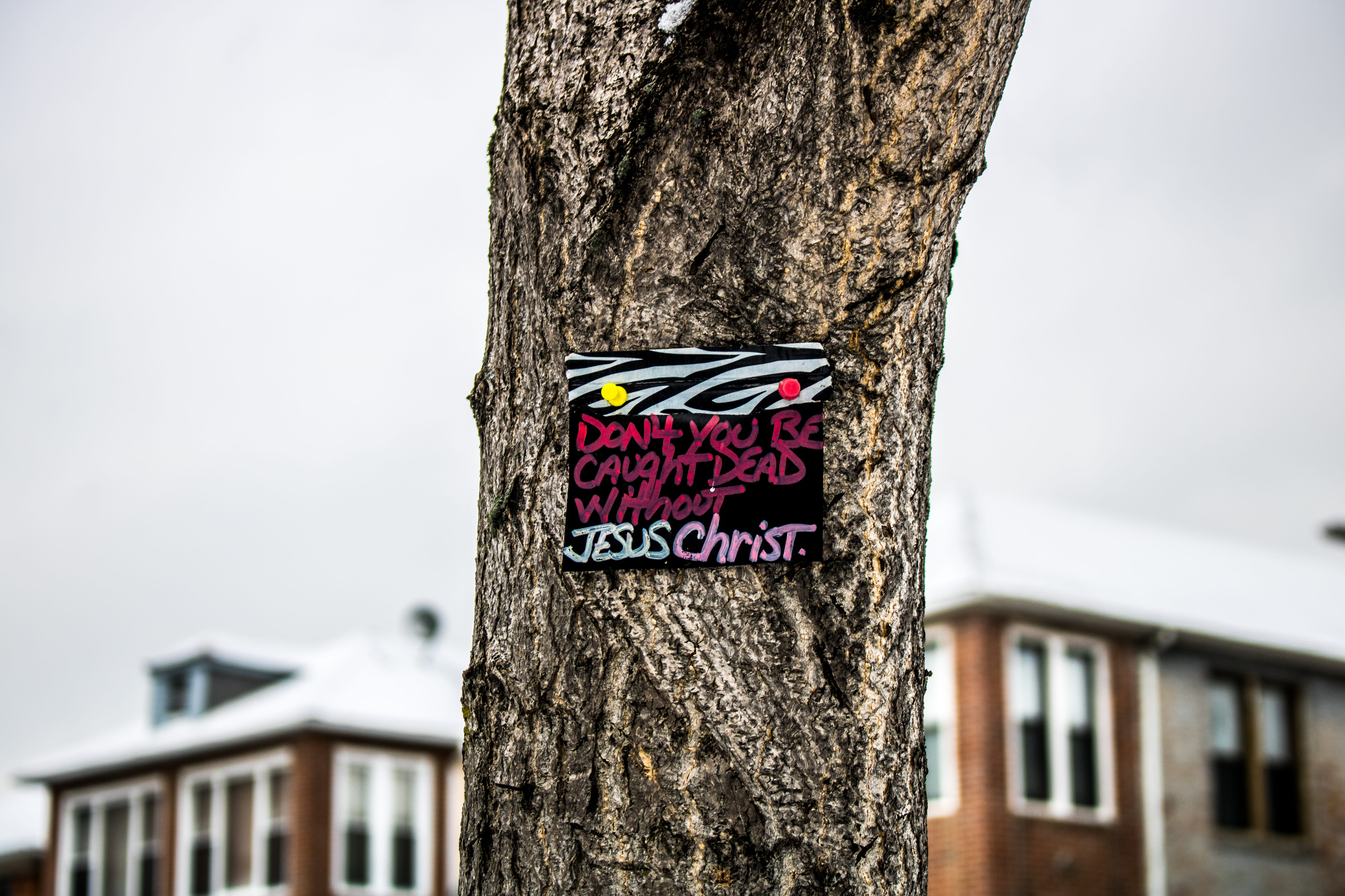 close -up, building exterior, focus on foreground, tree, guidance, tree bark, sign, nature, house, sky, built structure, information sign, no people, cloudy sky, HD Wallpaper