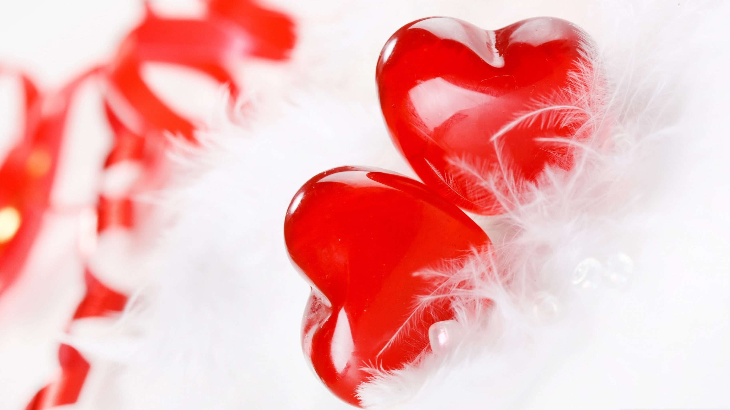 ultra hd, hearts, love, Cute, 2K, 2560x1440, Funny, HD Wallpaper