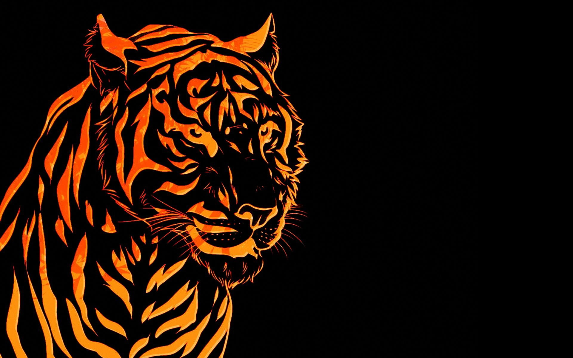 graph, line, 1080P, tiger, HD Wallpaper