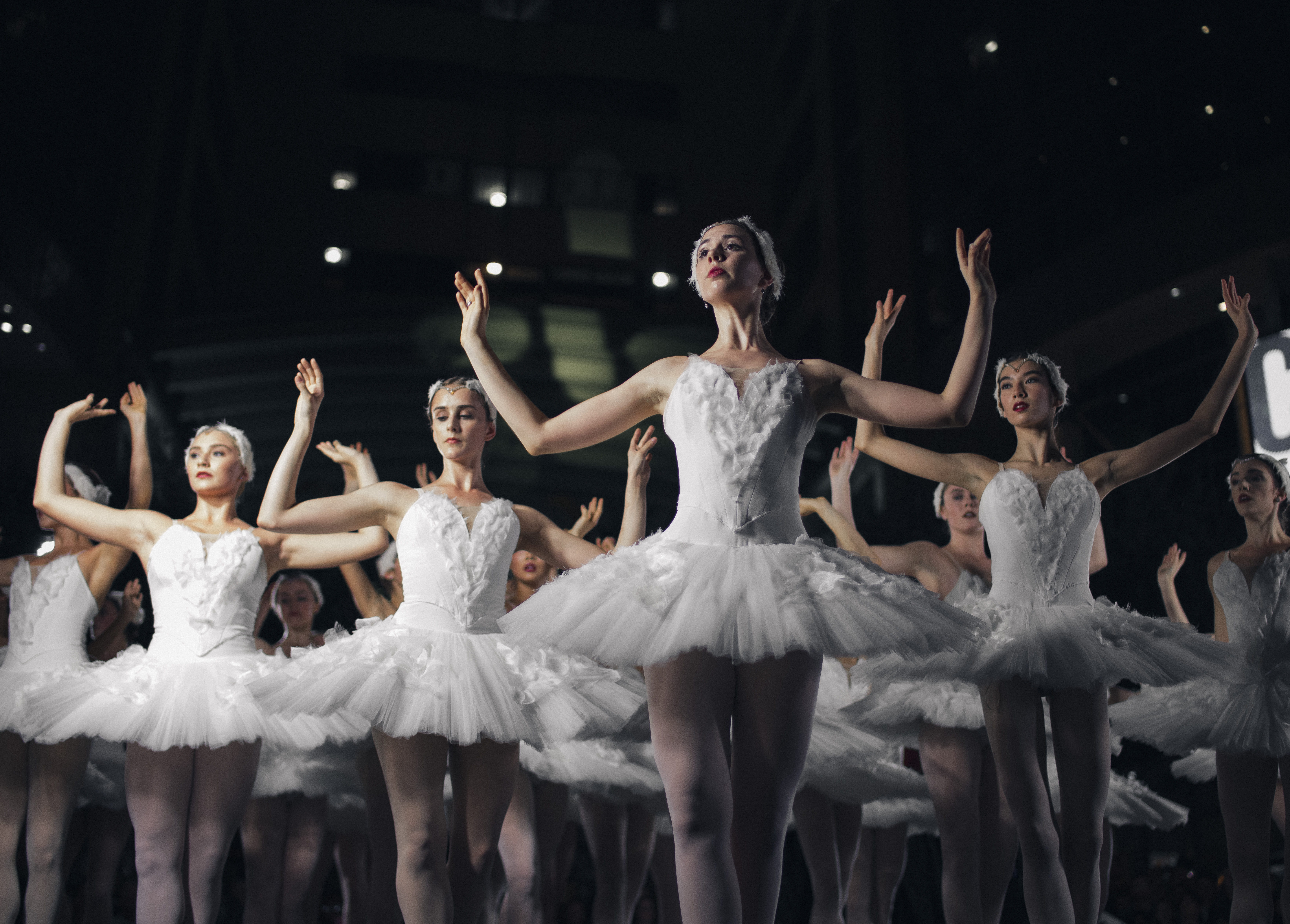stage, real people, togetherness, tutus, women, arms raised, adult, young women, performing arts event, young adult, 5K, arts culture and entertainment, HD Wallpaper