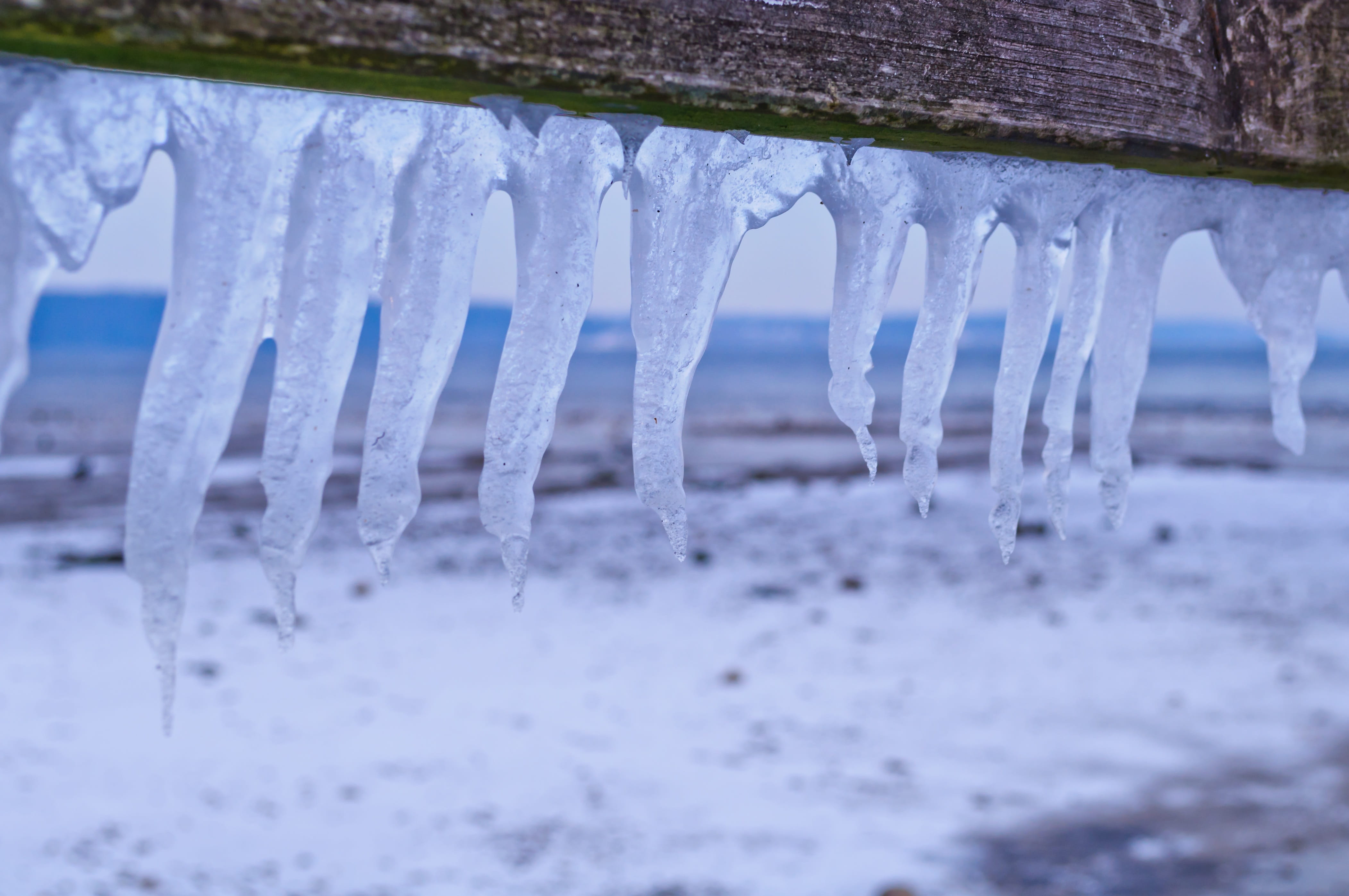 baltic sea, snow, coast, northern germany, outdoors, blue, water, no people, frozen, winter, day, tranquility, Water, wood, landscape, 4K, plant, environment, HD Wallpaper