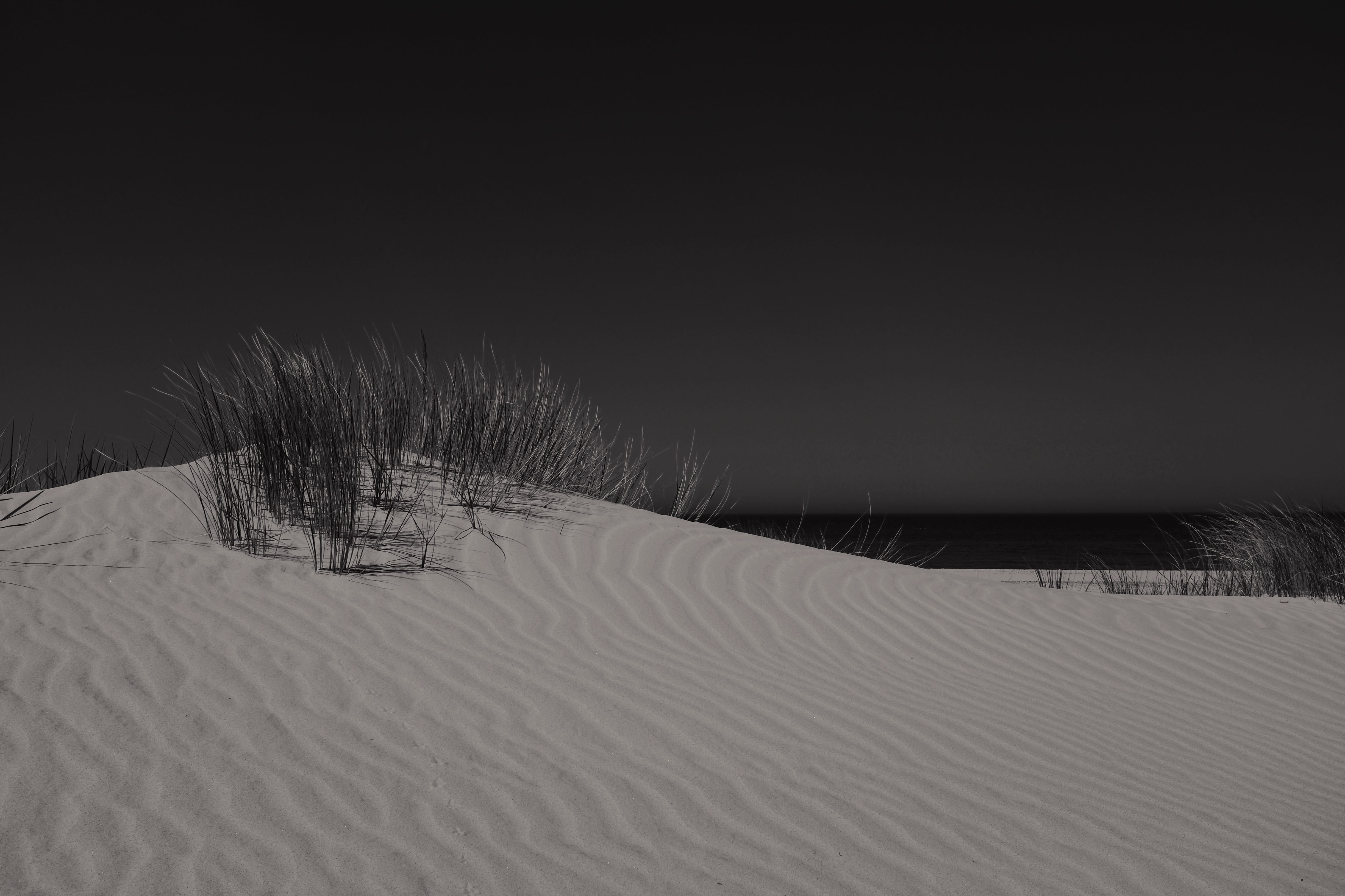 beauty in nature, trees, winter, cold temperature, snow, white, sand, grayscale, tree, weather, environment, nature, photo, sky, black and white, outdoors, HD Wallpaper