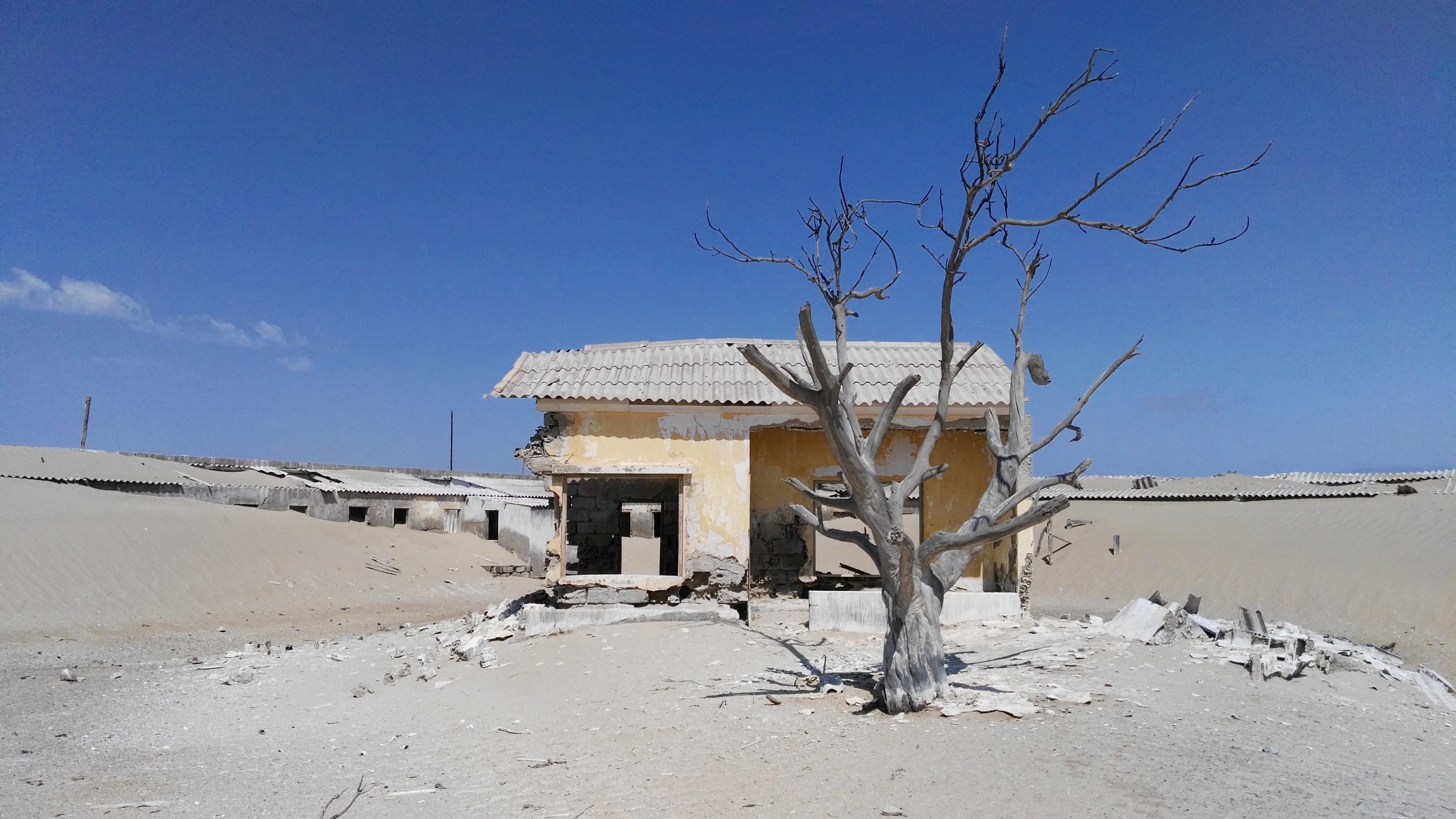 sao martinho dos tigres, martinho, off road, nature, environment, land, death acre, abandoned, no People, destruction, winter, sky, architecture, day, clear sky, HD Wallpaper