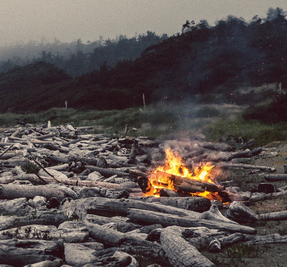 field, tree, 480P, heat - temperature, bonfire, camping, land, firewood, flame, log, campfire, burning, glowing, environment, nature, Emancipator, fire, HD Wallpaper